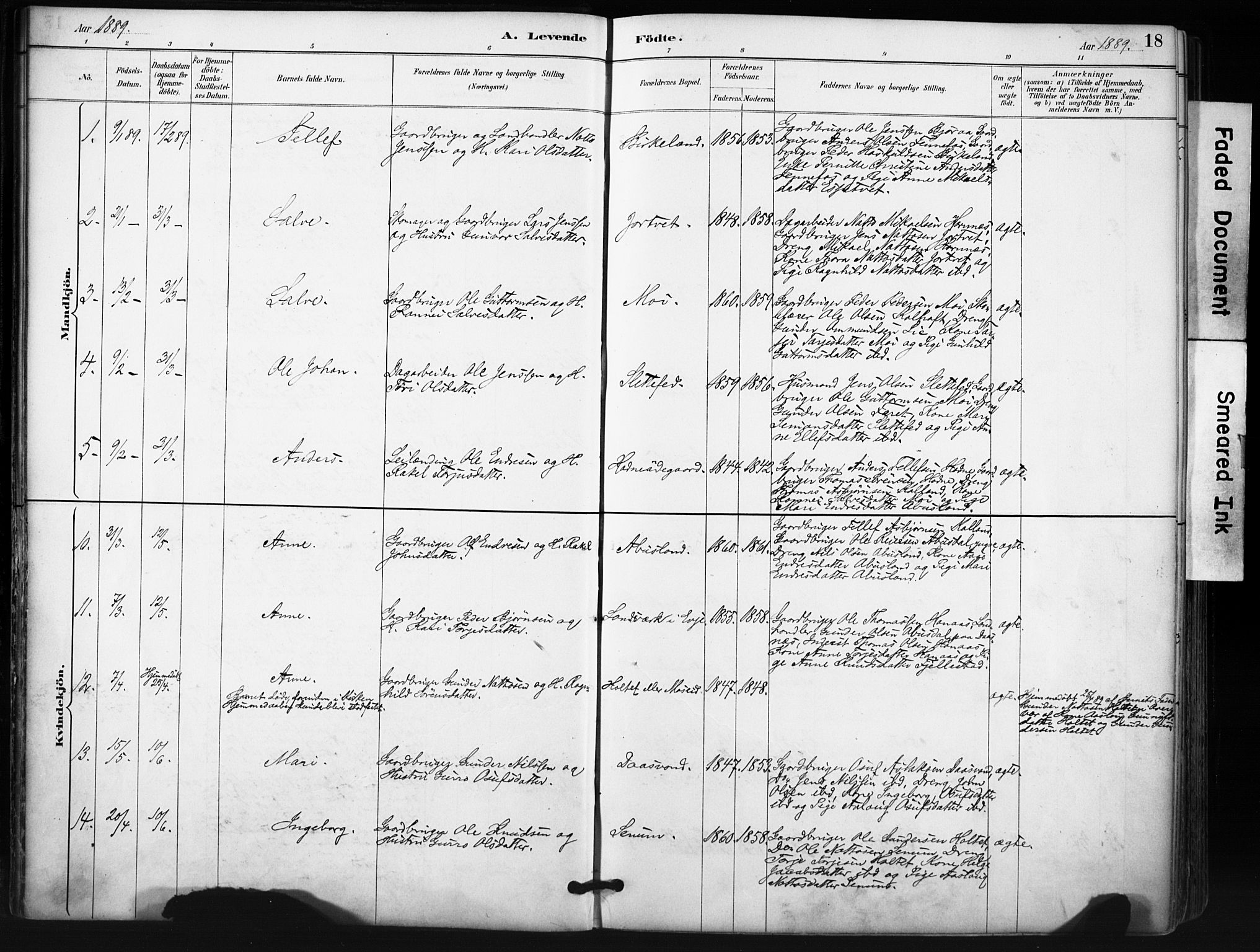 Evje sokneprestkontor, AV/SAK-1111-0008/F/Fa/Fab/L0003: Parish register (official) no. A 3, 1884-1909, p. 18