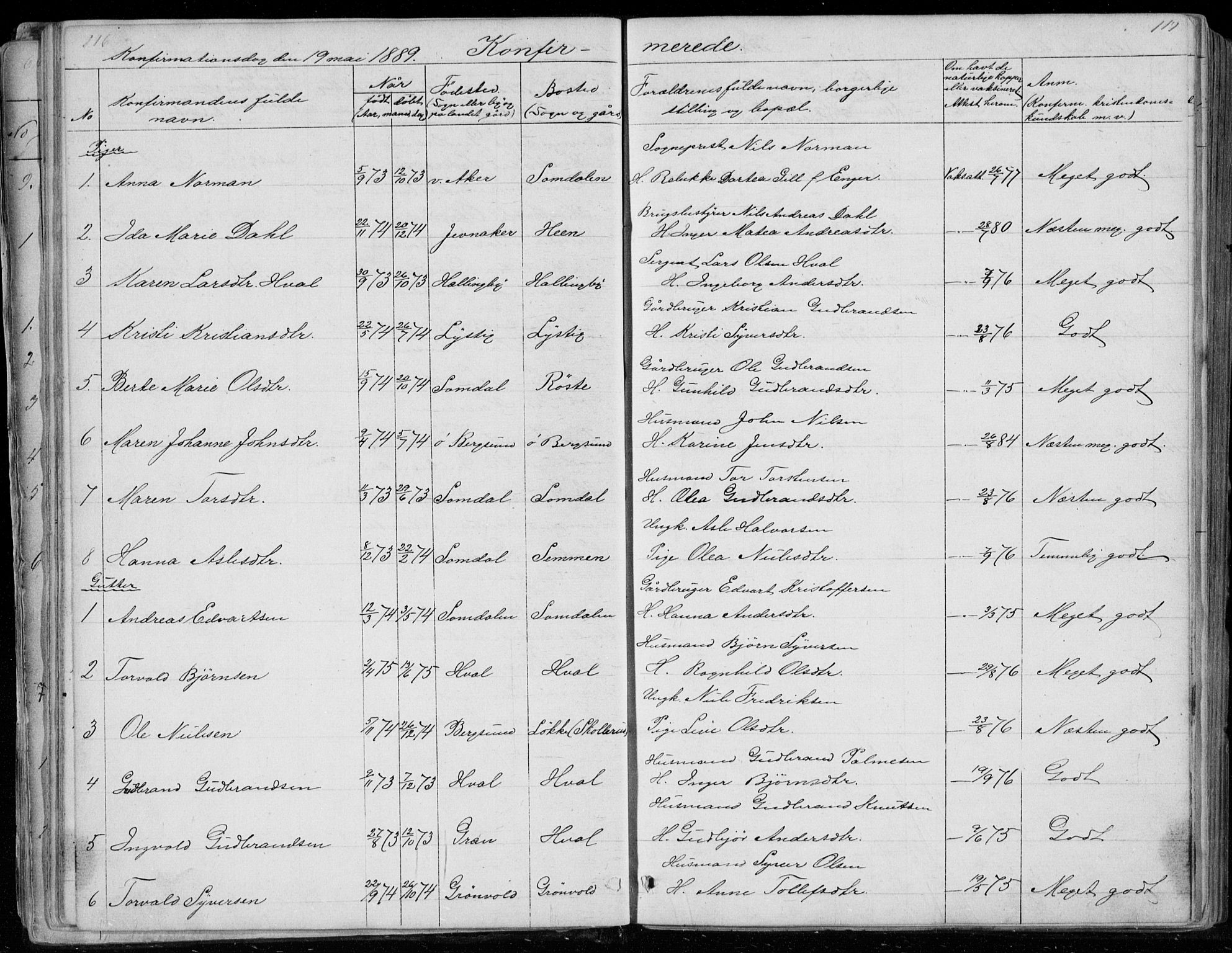 Ådal kirkebøker, SAKO/A-248/G/Gc/L0001: Parish register (copy) no. III 1, 1862-1898, p. 116-117