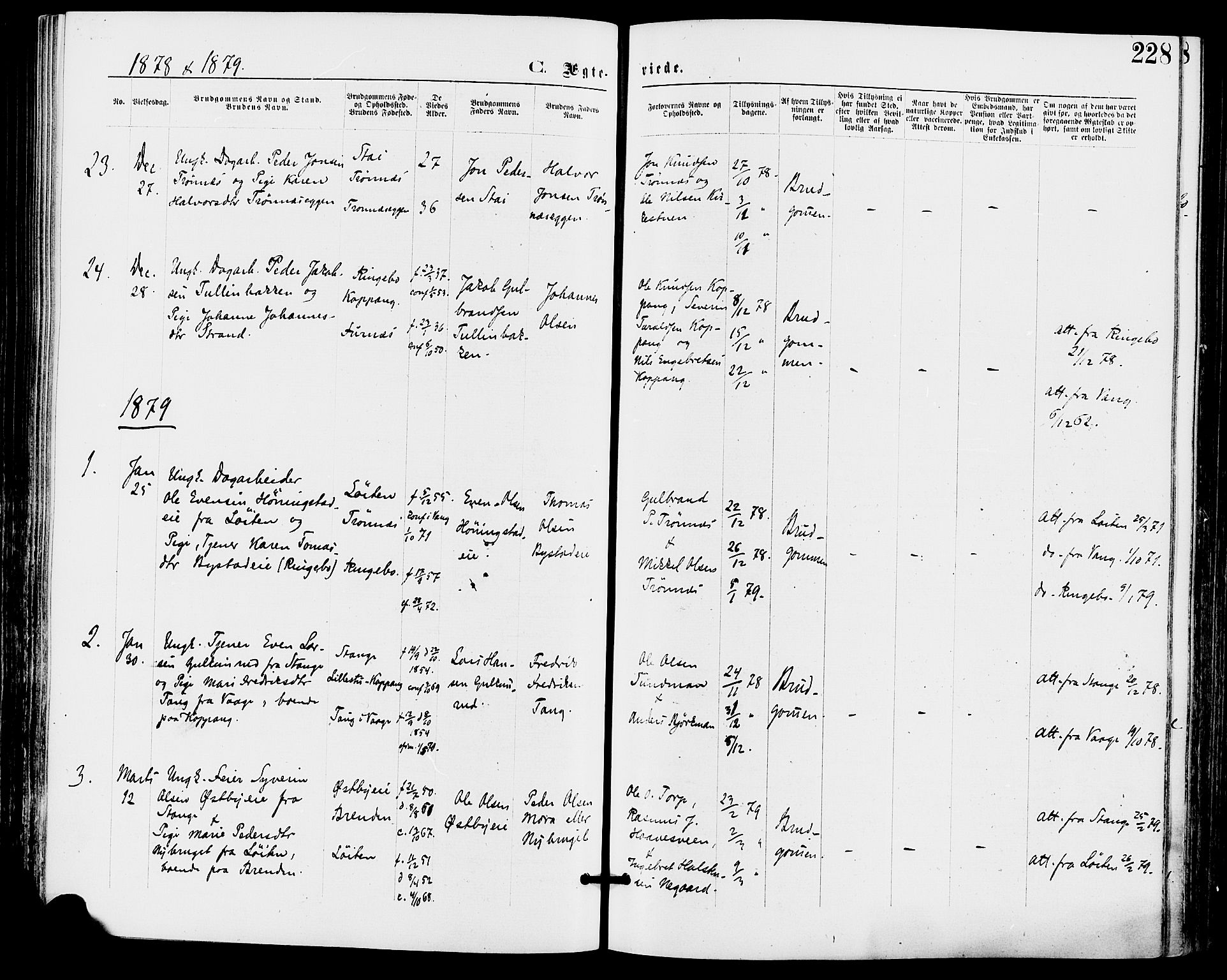 Stor-Elvdal prestekontor, AV/SAH-PREST-052/H/Ha/Haa/L0001: Parish register (official) no. 1, 1871-1882, p. 228