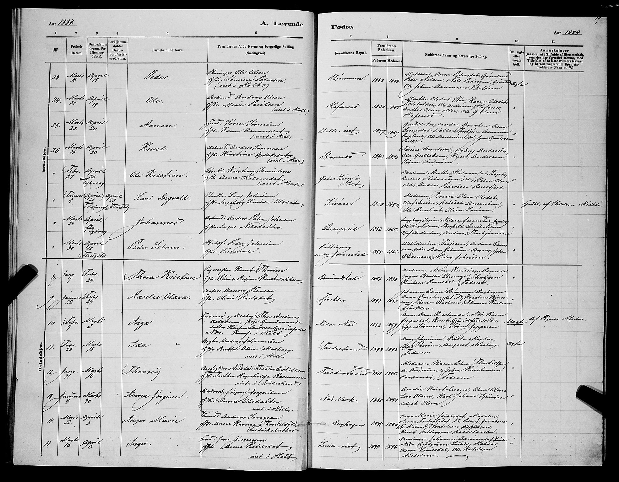 Holt sokneprestkontor, SAK/1111-0021/F/Fb/L0010: Parish register (copy) no. B 10, 1883-1896, p. 19