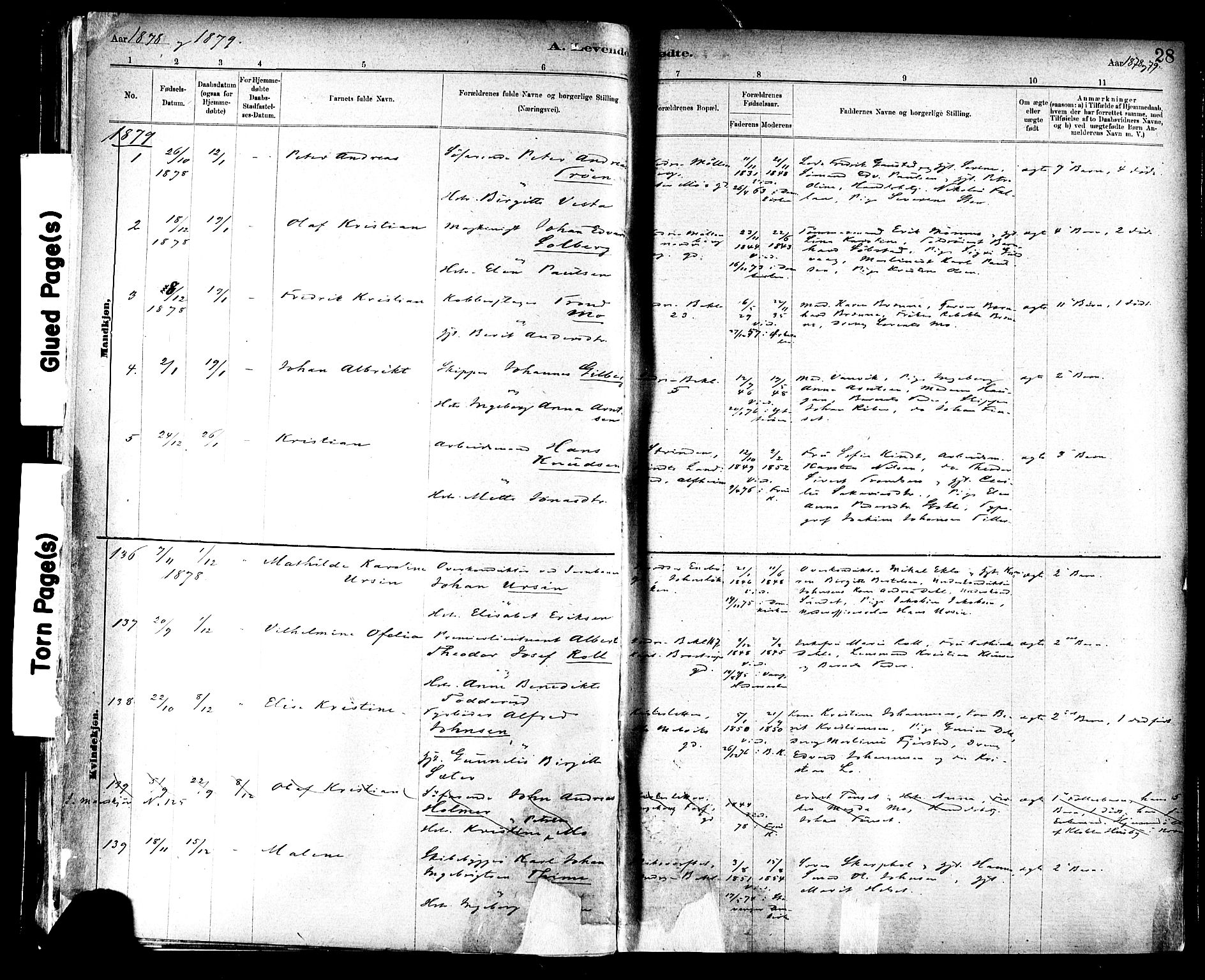 Ministerialprotokoller, klokkerbøker og fødselsregistre - Sør-Trøndelag, SAT/A-1456/604/L0188: Parish register (official) no. 604A09, 1878-1892, p. 28
