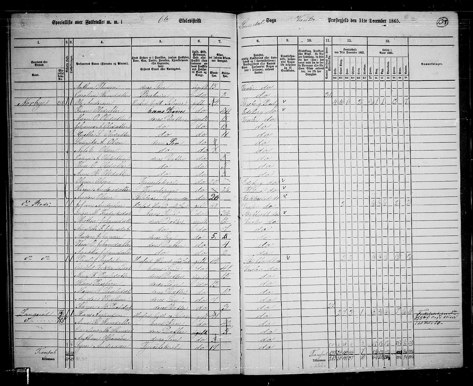 RA, 1865 census for Våler, 1865, p. 119