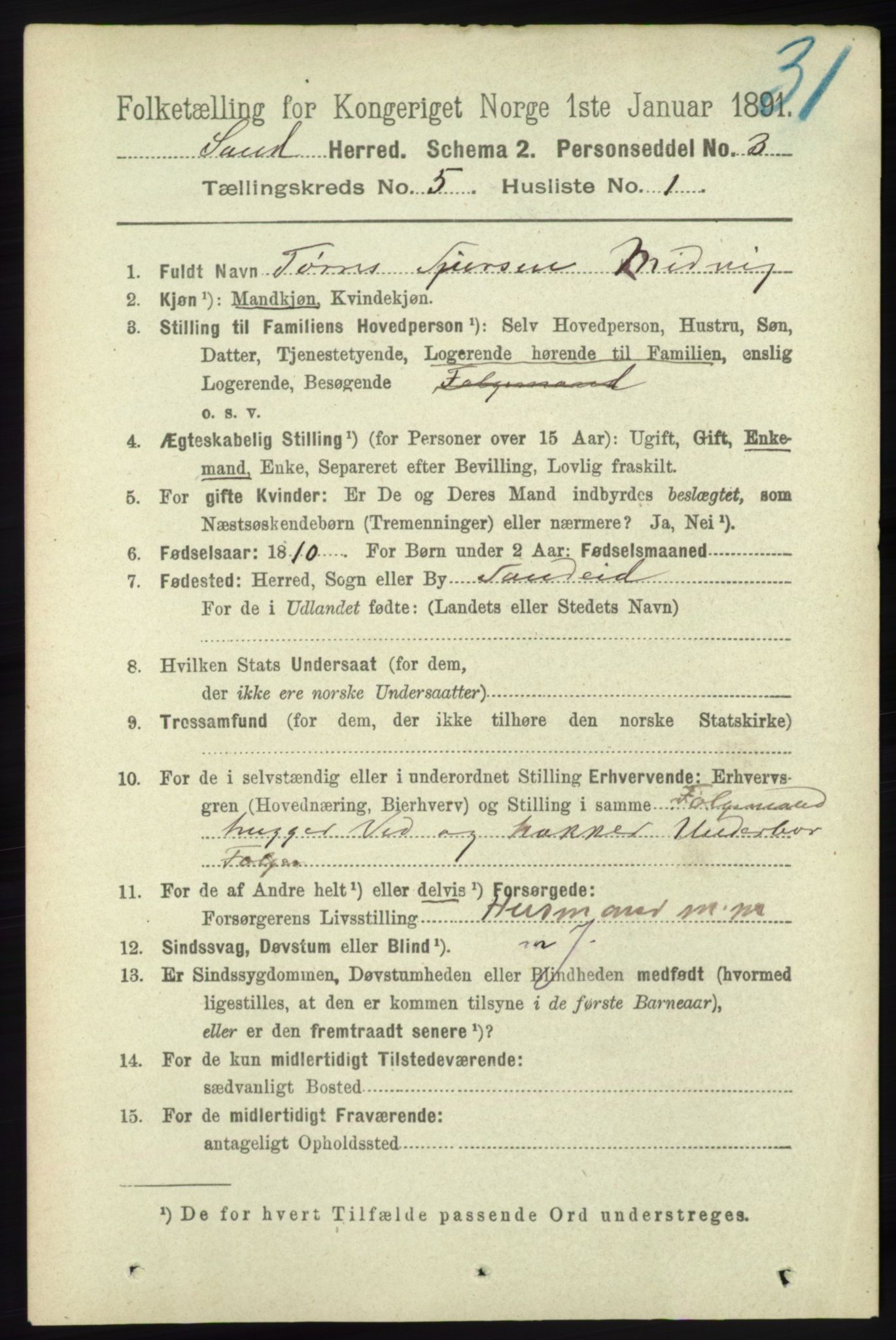 RA, 1891 census for 1136 Sand, 1891, p. 1551