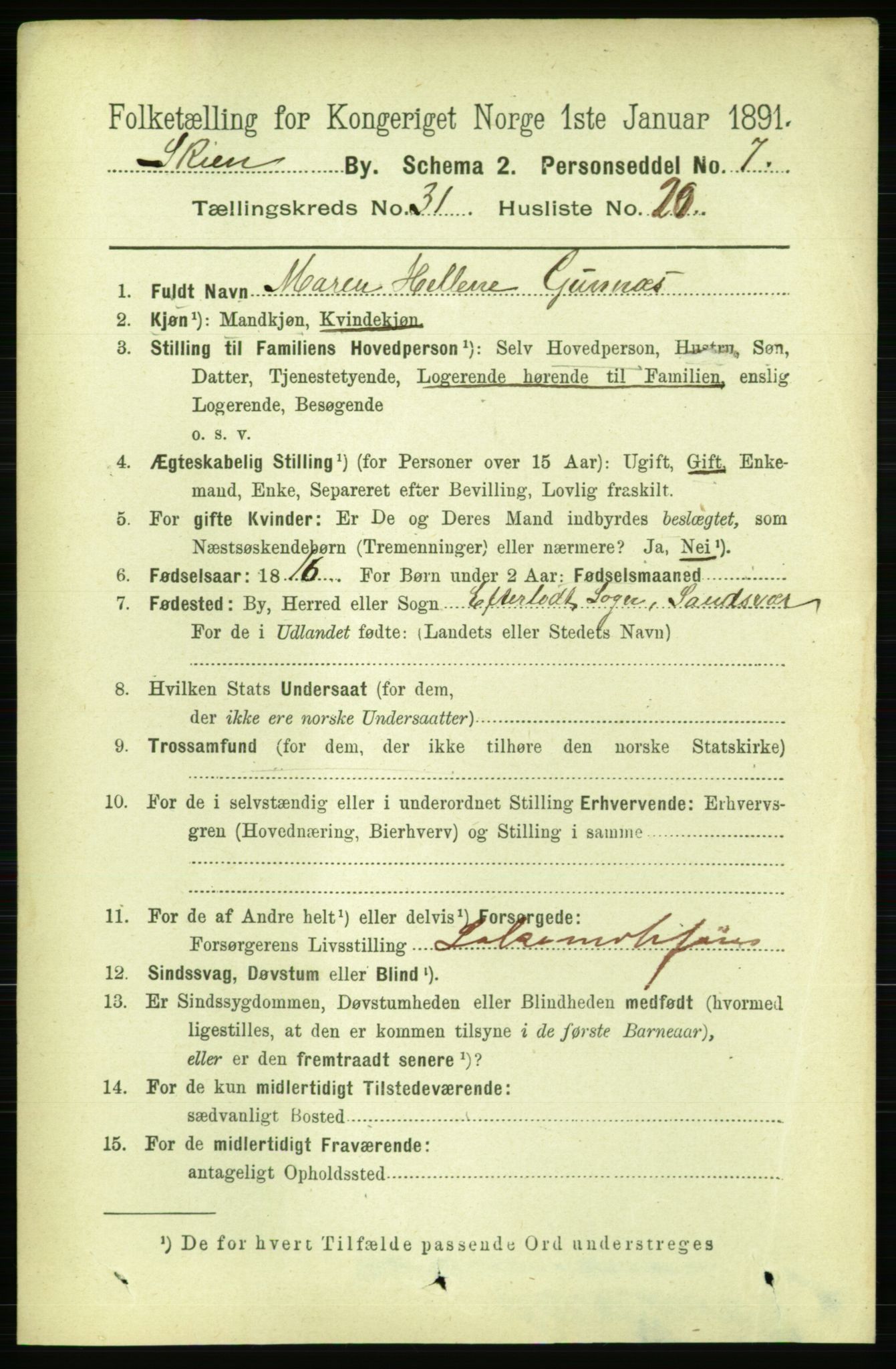 RA, 1891 census for 0806 Skien, 1891, p. 7205