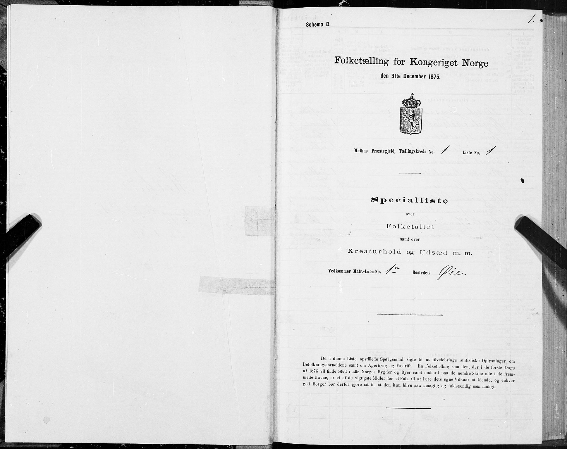 SAT, 1875 census for 1653P Melhus, 1875, p. 1001