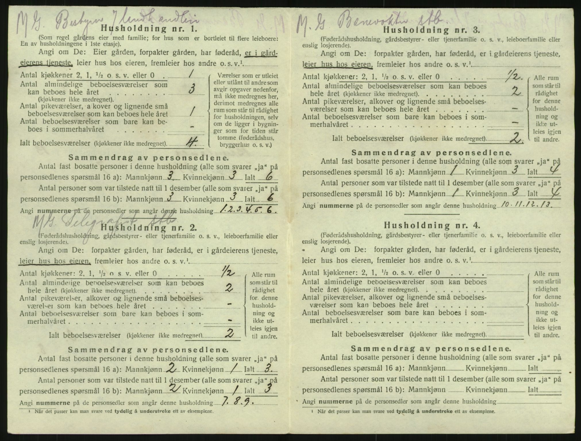 SAKO, 1920 census for Brunlanes, 1920, p. 1844
