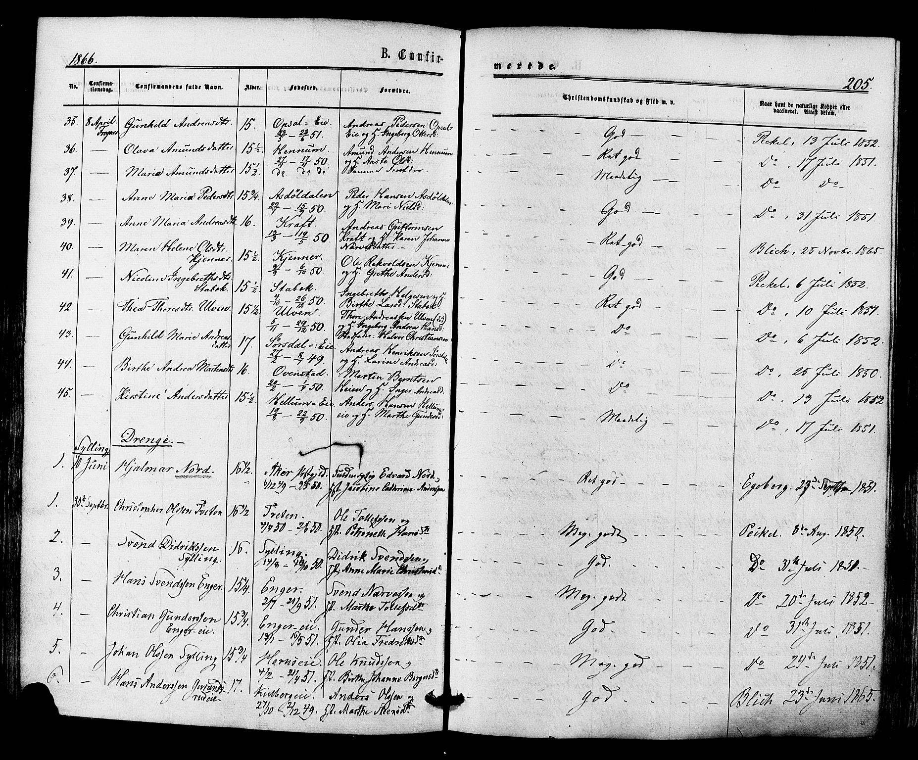 Lier kirkebøker, SAKO/A-230/F/Fa/L0013: Parish register (official) no. I 13, 1865-1874, p. 205