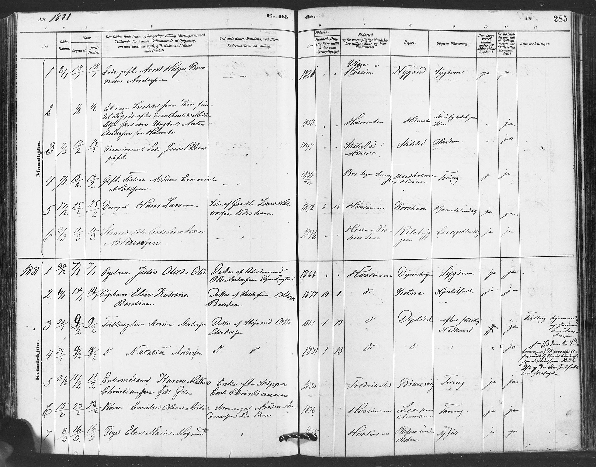 Hvaler prestekontor Kirkebøker, AV/SAO-A-2001/F/Fa/L0008: Parish register (official) no. I 8, 1878-1895, p. 285