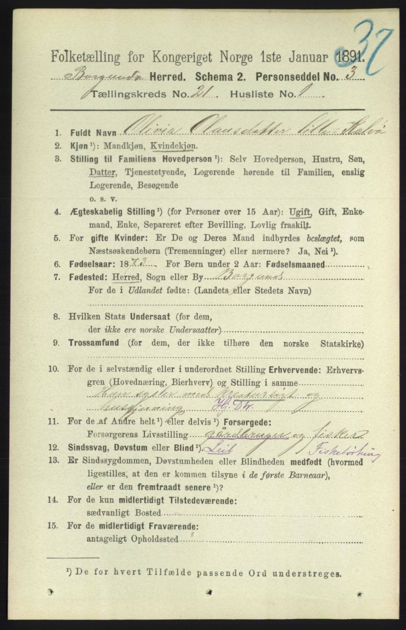 RA, 1891 census for 1531 Borgund, 1891, p. 6344