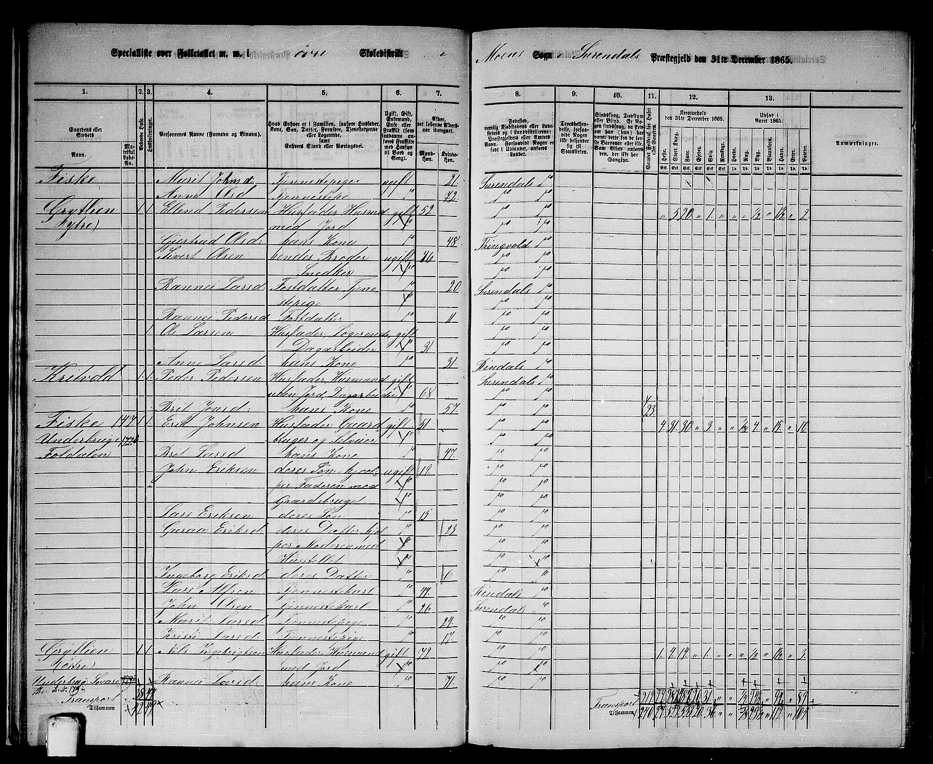 RA, 1865 census for Surnadal, 1865, p. 20