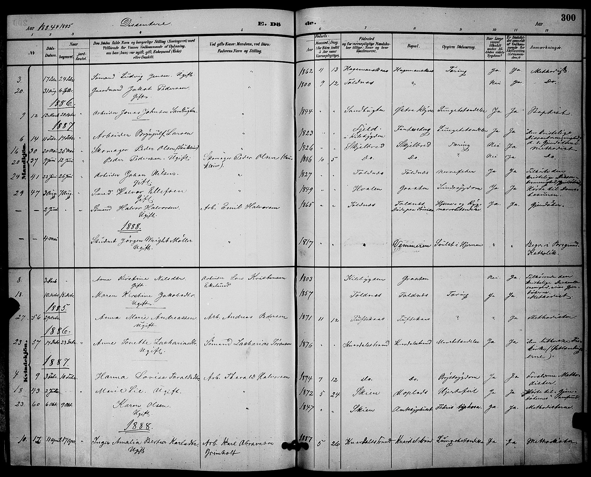Solum kirkebøker, SAKO/A-306/G/Ga/L0007: Parish register (copy) no. I 7, 1884-1898, p. 300