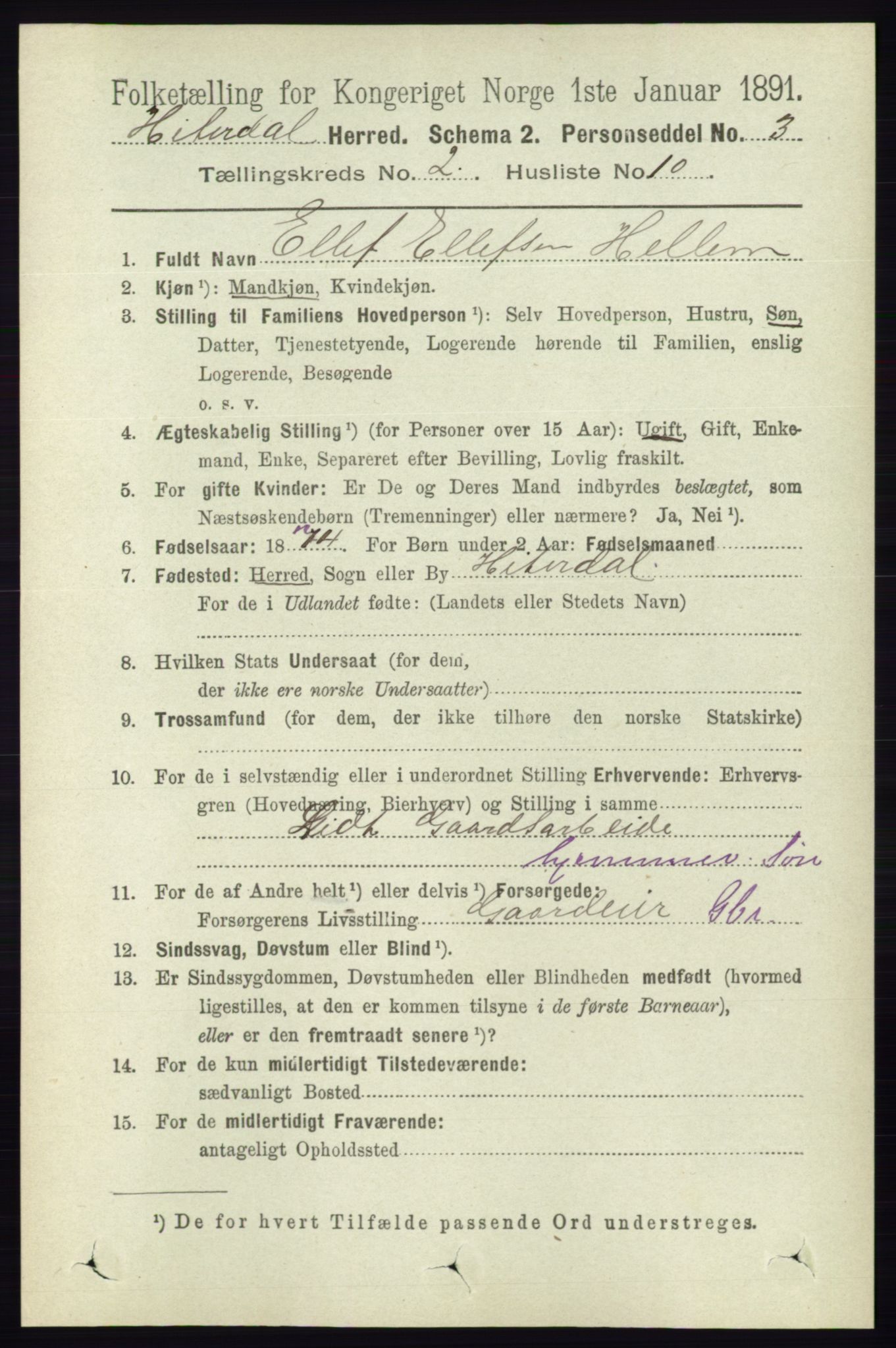 RA, 1891 census for 0823 Heddal, 1891, p. 631