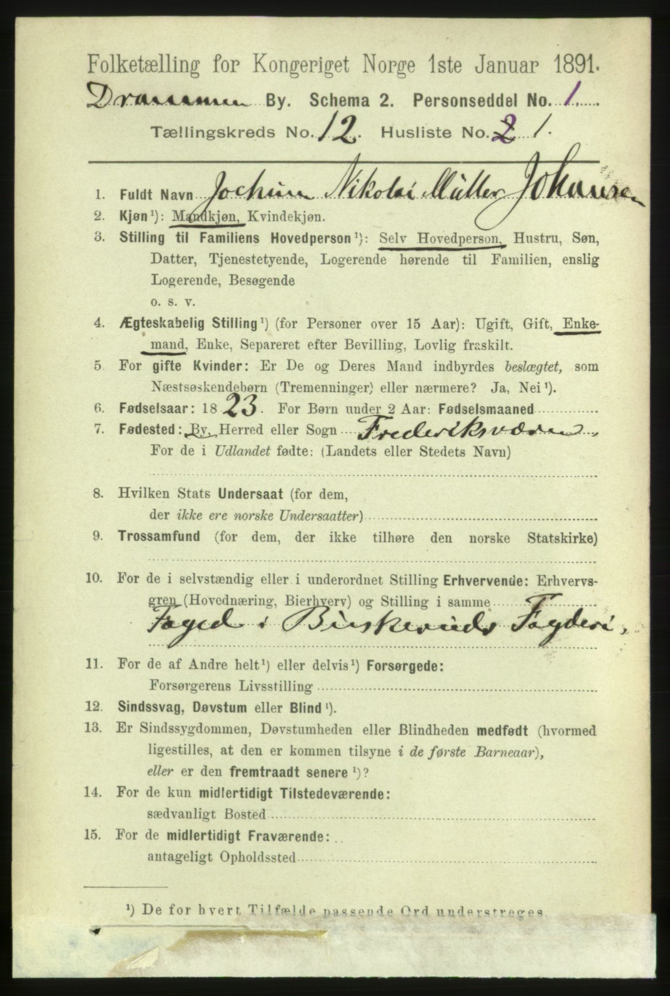 RA, 1891 census for 0602 Drammen, 1891, p. 8960