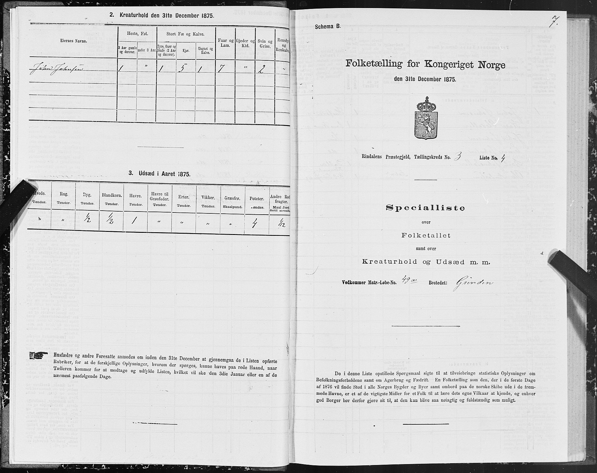 SAT, 1875 census for 1567P Rindal, 1875, p. 2007