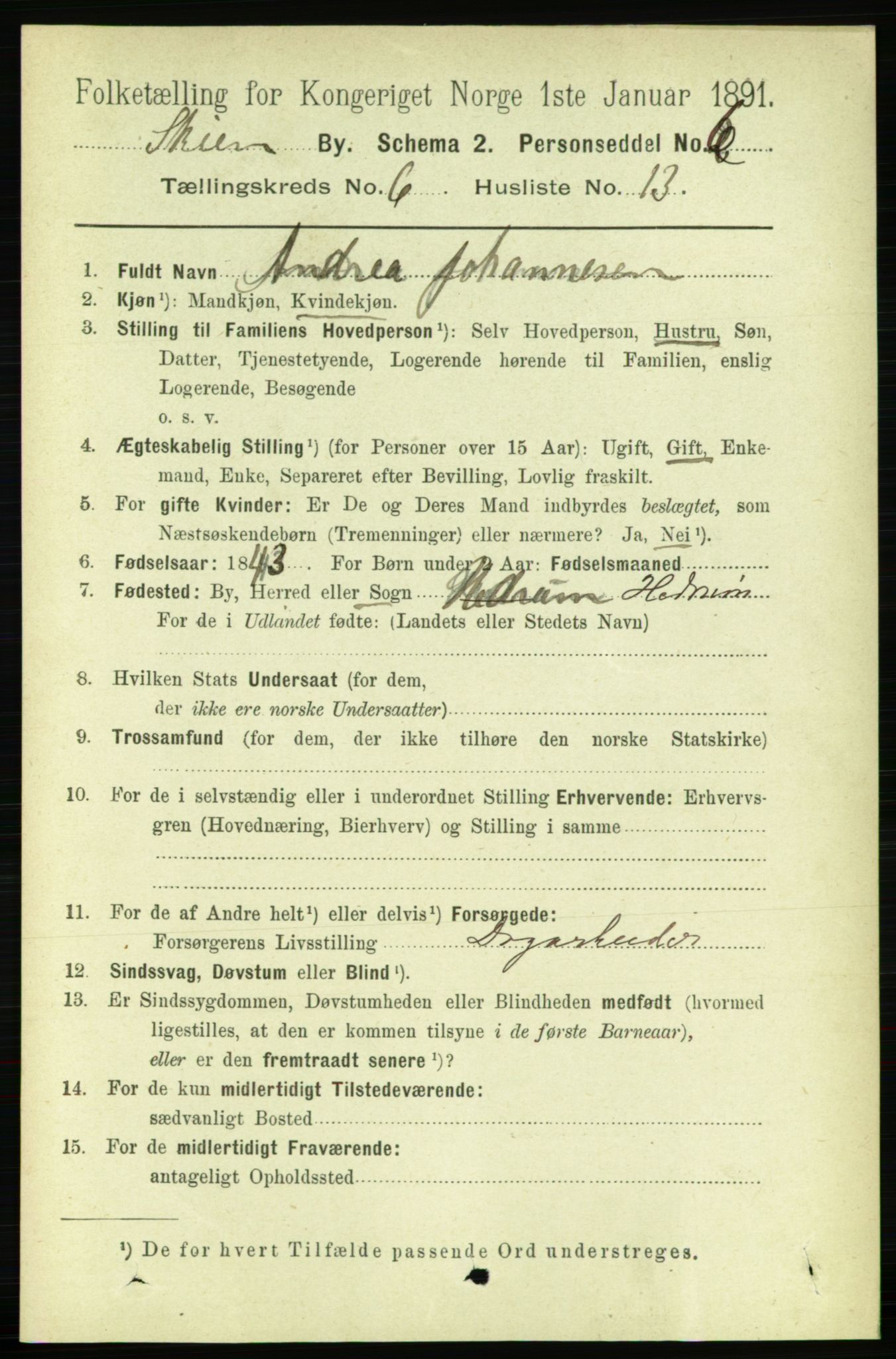 RA, 1891 census for 0806 Skien, 1891, p. 3128