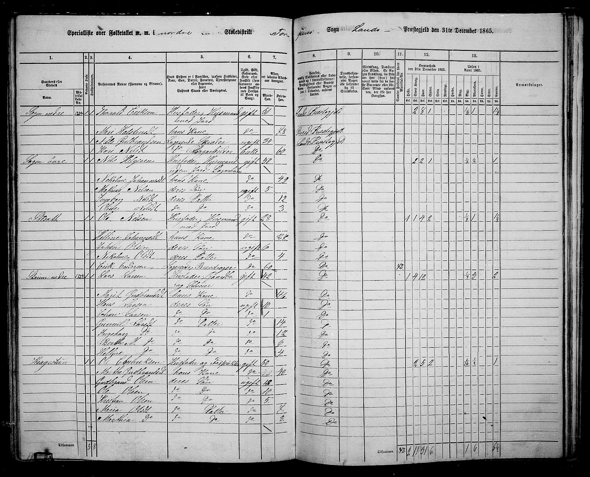 RA, 1865 census for Land, 1865, p. 156