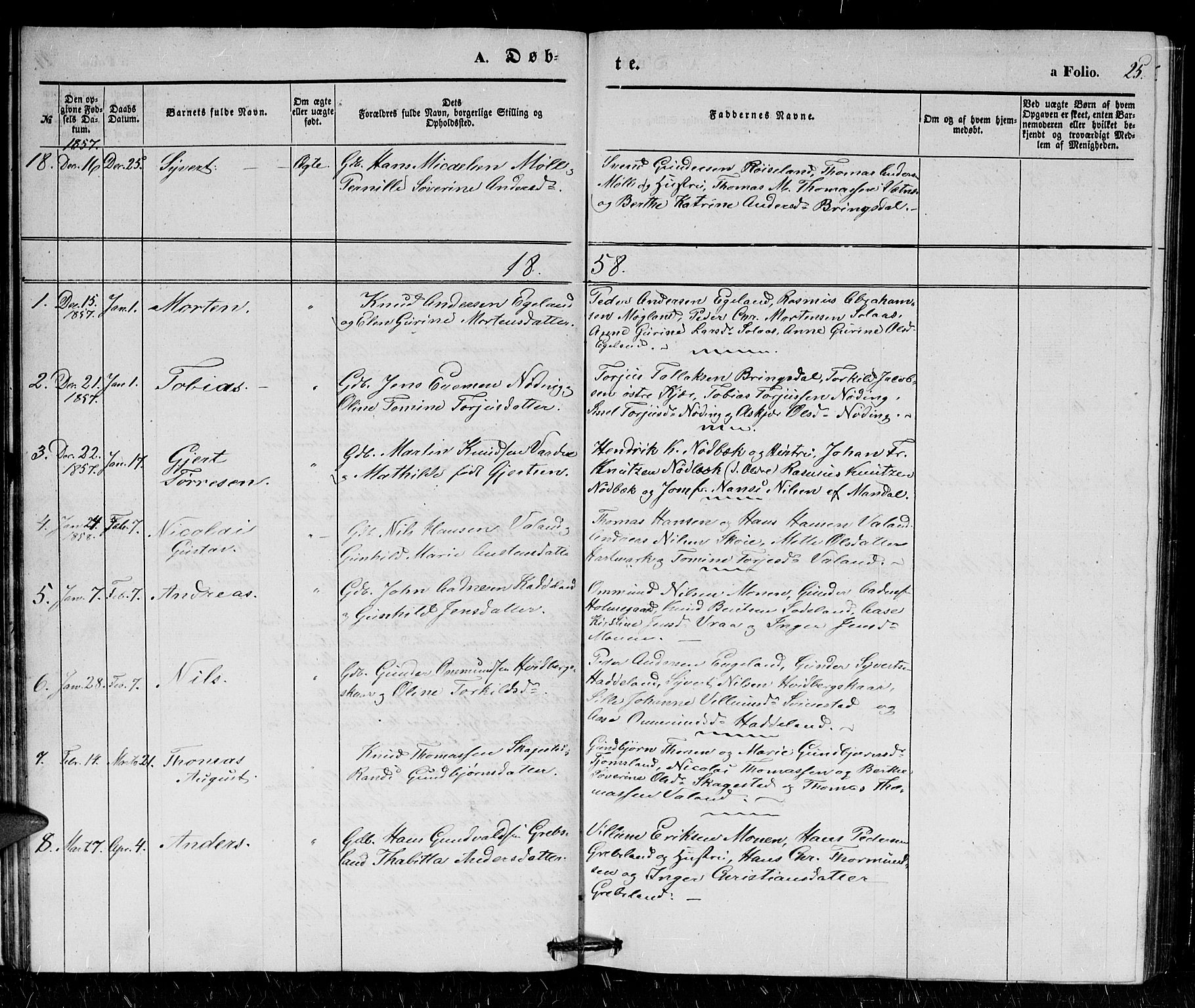 Holum sokneprestkontor, SAK/1111-0022/F/Fb/Fba/L0003: Parish register (copy) no. B 3, 1850-1866, p. 25