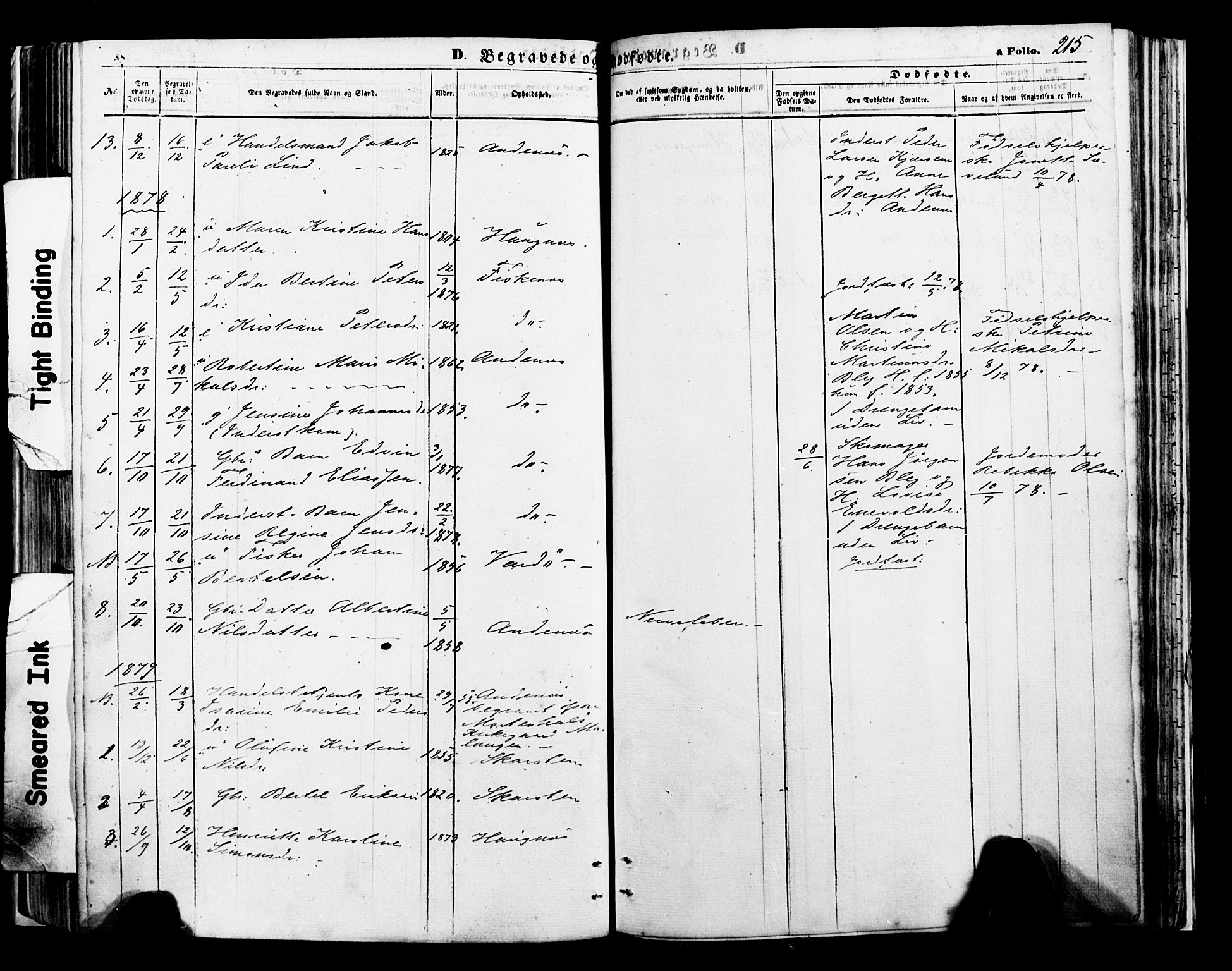 Ministerialprotokoller, klokkerbøker og fødselsregistre - Nordland, AV/SAT-A-1459/897/L1398: Parish register (official) no. 897A05 /2, 1867-1880, p. 215