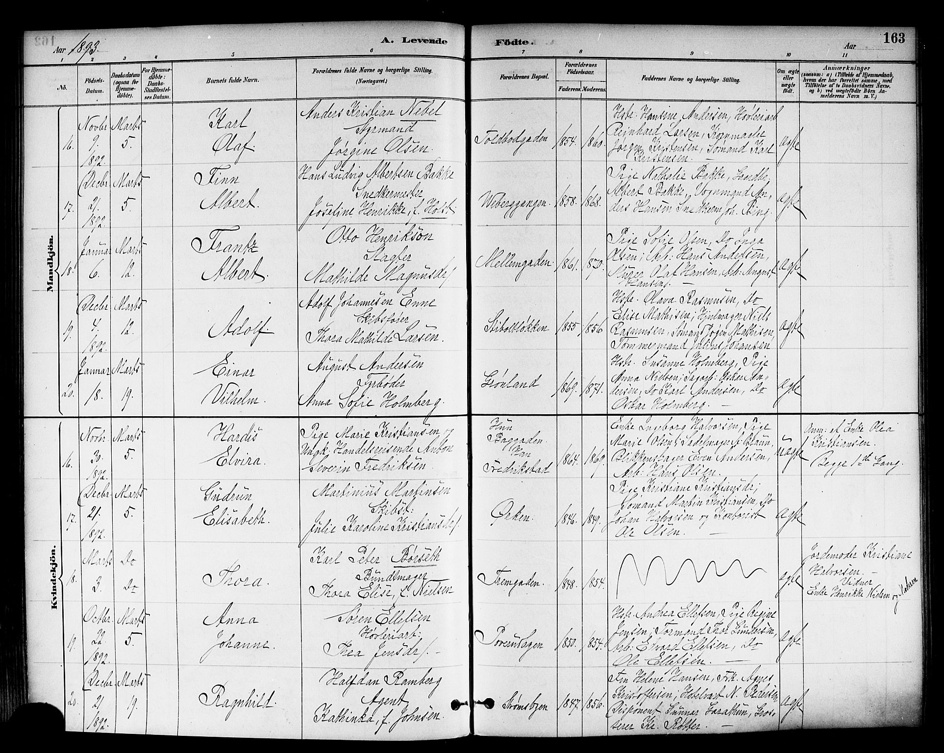 Strømsø kirkebøker, SAKO/A-246/F/Fa/L0023: Parish register (official) no. I 23, 1885-1894, p. 163