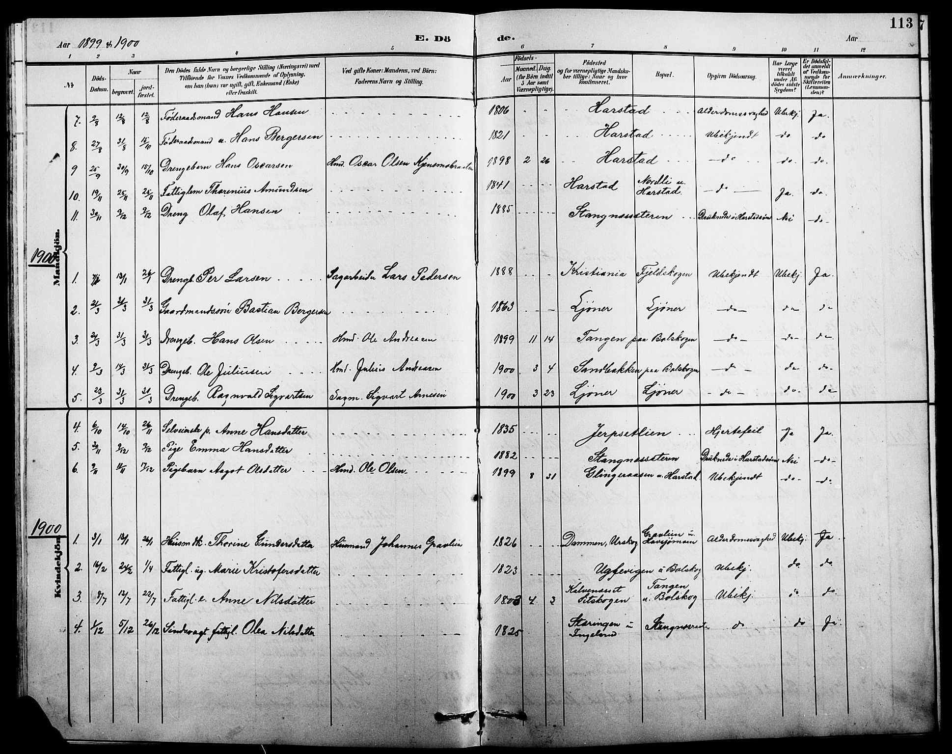 Eidskog prestekontor, AV/SAH-PREST-026/H/Ha/Hab/L0002: Parish register (copy) no. 2, 1895-1923, p. 113