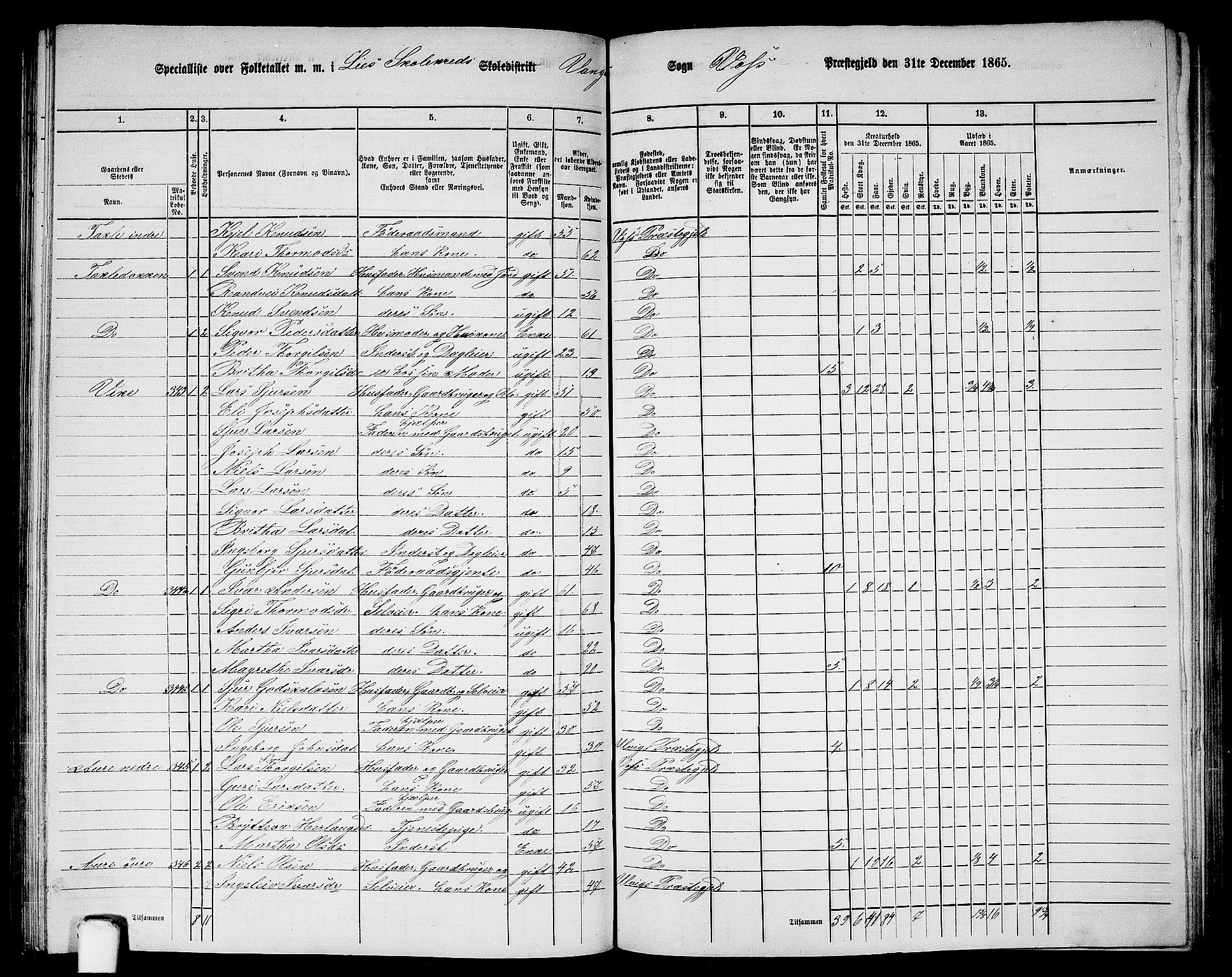 RA, 1865 census for Voss, 1865, p. 159