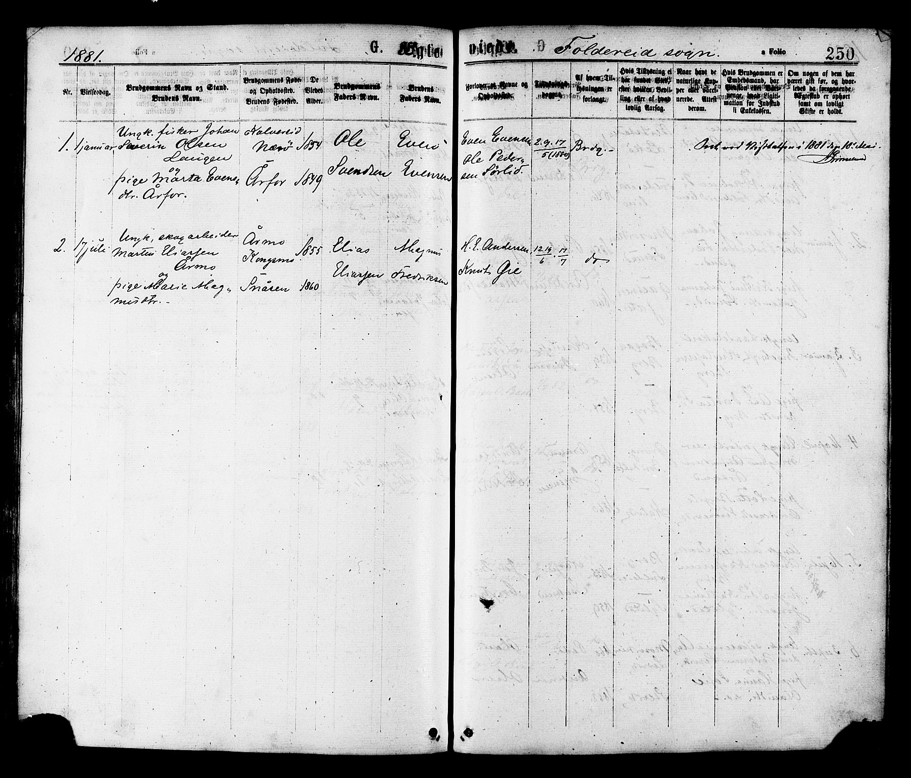 Ministerialprotokoller, klokkerbøker og fødselsregistre - Nord-Trøndelag, SAT/A-1458/780/L0642: Parish register (official) no. 780A07 /2, 1878-1885, p. 250