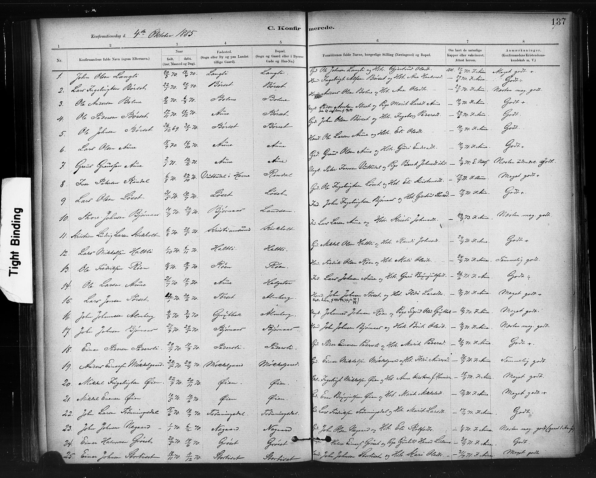 Ministerialprotokoller, klokkerbøker og fødselsregistre - Møre og Romsdal, AV/SAT-A-1454/598/L1069: Parish register (official) no. 598A03, 1882-1895, p. 137