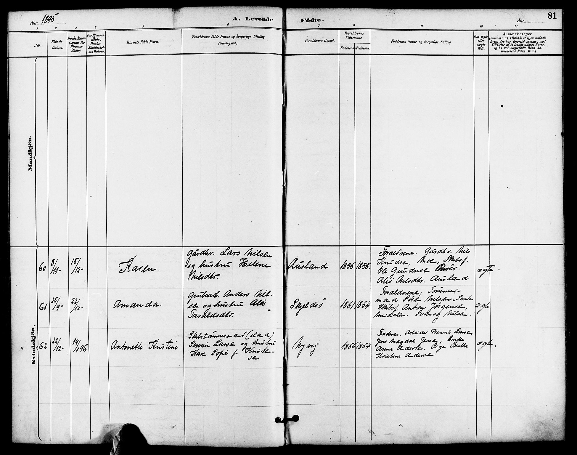 Søndeled sokneprestkontor, AV/SAK-1111-0038/F/Fa/L0005: Parish register (official) no. A 5, 1889-1899, p. 81