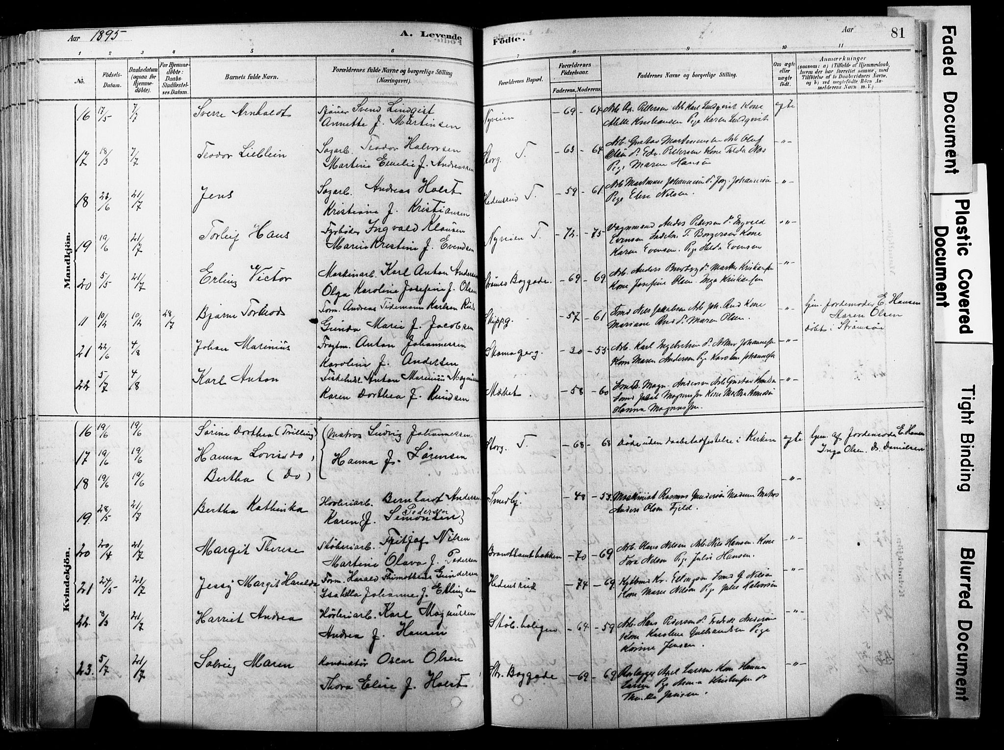 Strømsø kirkebøker, SAKO/A-246/F/Fb/L0006: Parish register (official) no. II 6, 1879-1910, p. 81