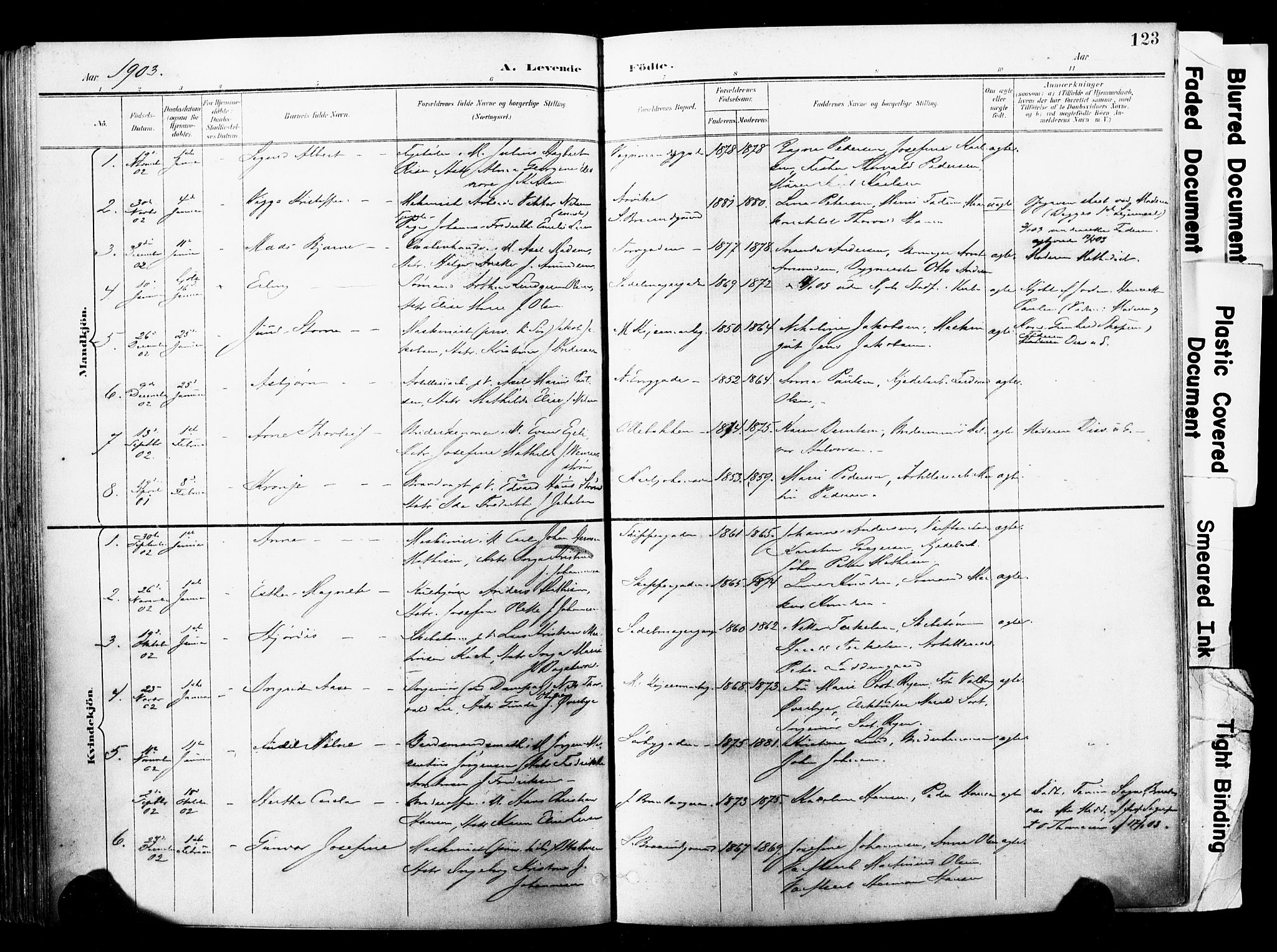 Horten kirkebøker, AV/SAKO-A-348/F/Fa/L0005: Parish register (official) no. 5, 1896-1904, p. 123