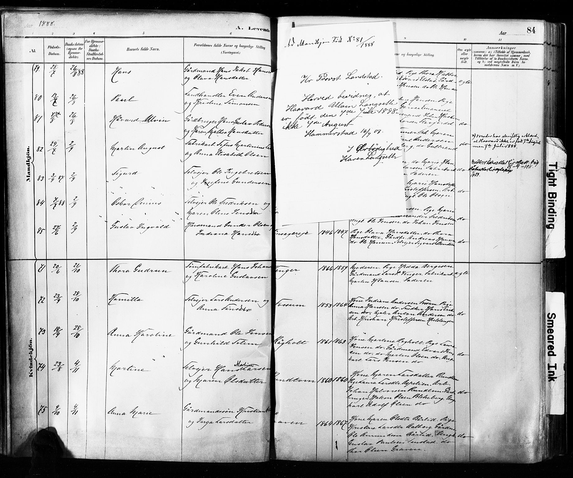 Eidsvoll prestekontor Kirkebøker, SAO/A-10888/F/Fa/L0002: Parish register (official) no. I 2, 1882-1895