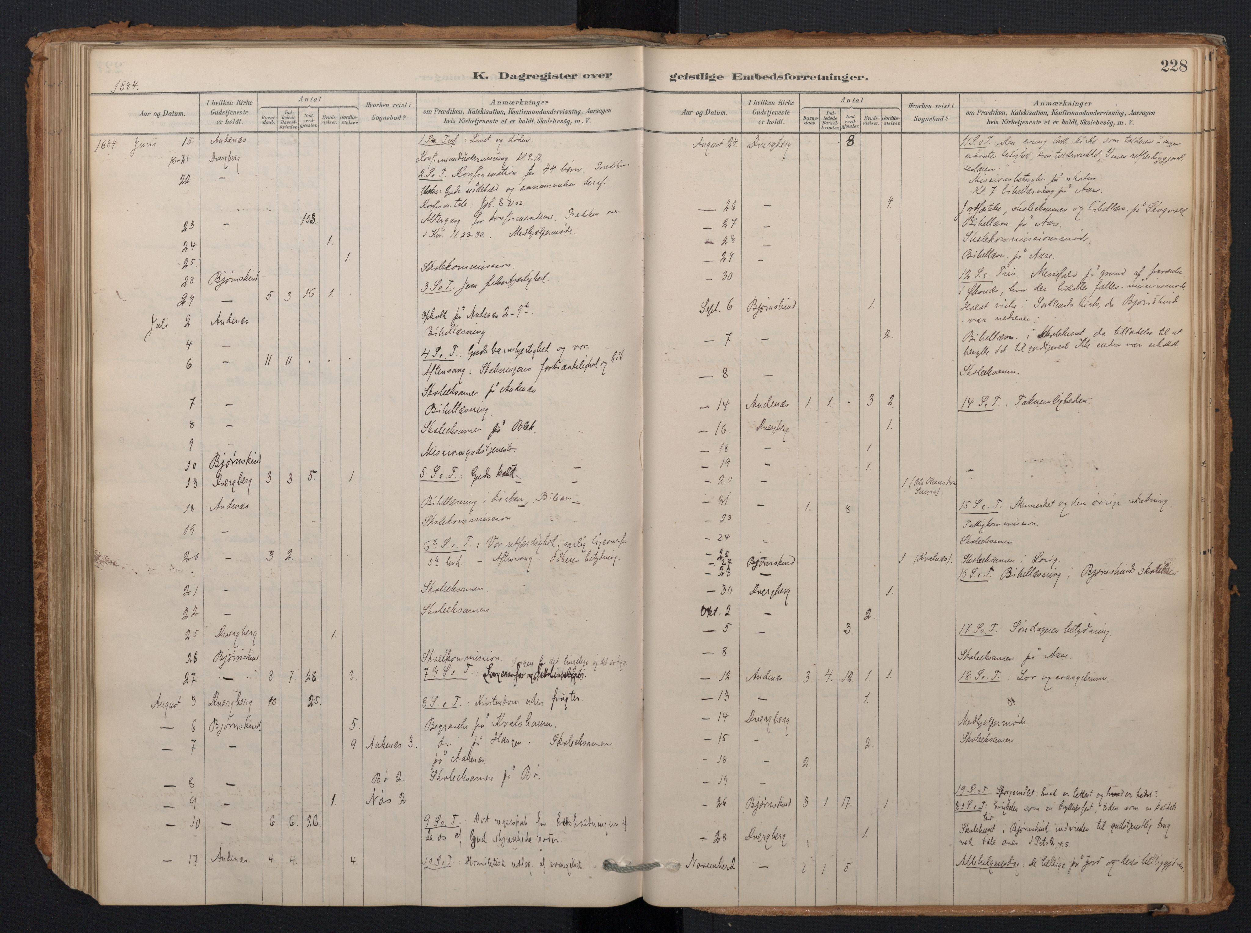 Ministerialprotokoller, klokkerbøker og fødselsregistre - Nordland, AV/SAT-A-1459/897/L1399: Parish register (official) no. 897A06, 1881-1896, p. 228