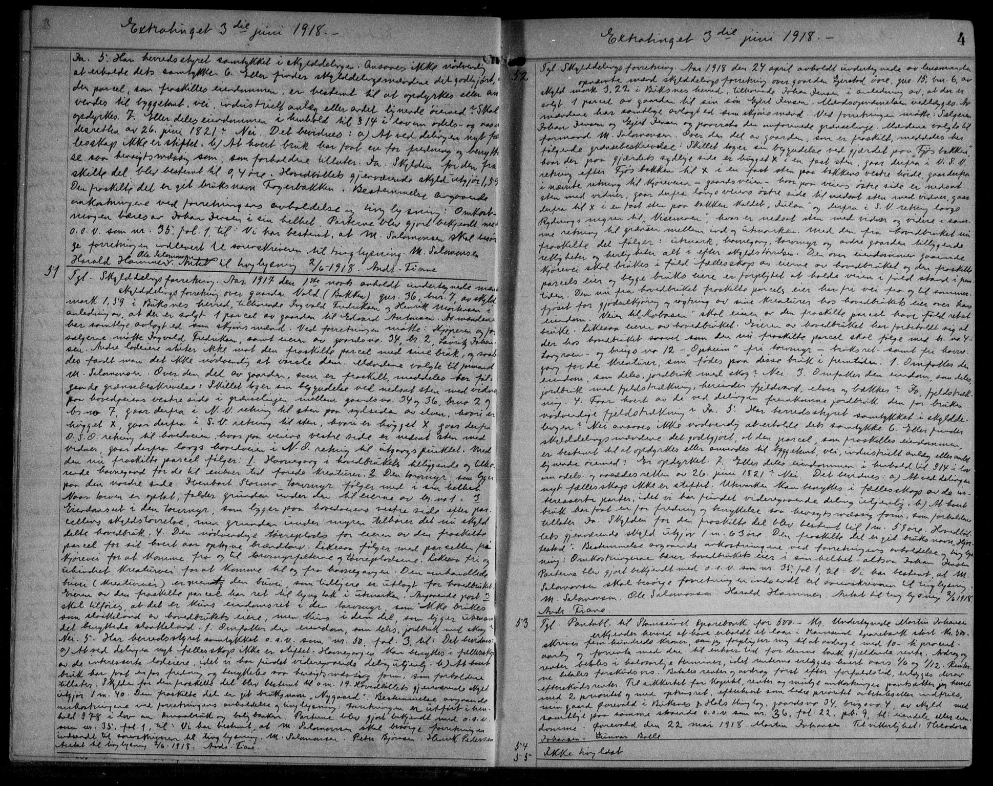 Lofoten sorenskriveri, SAT/A-0017/1/2/2C/L0010: Mortgage book no. 10, 1919-1920, p. 4