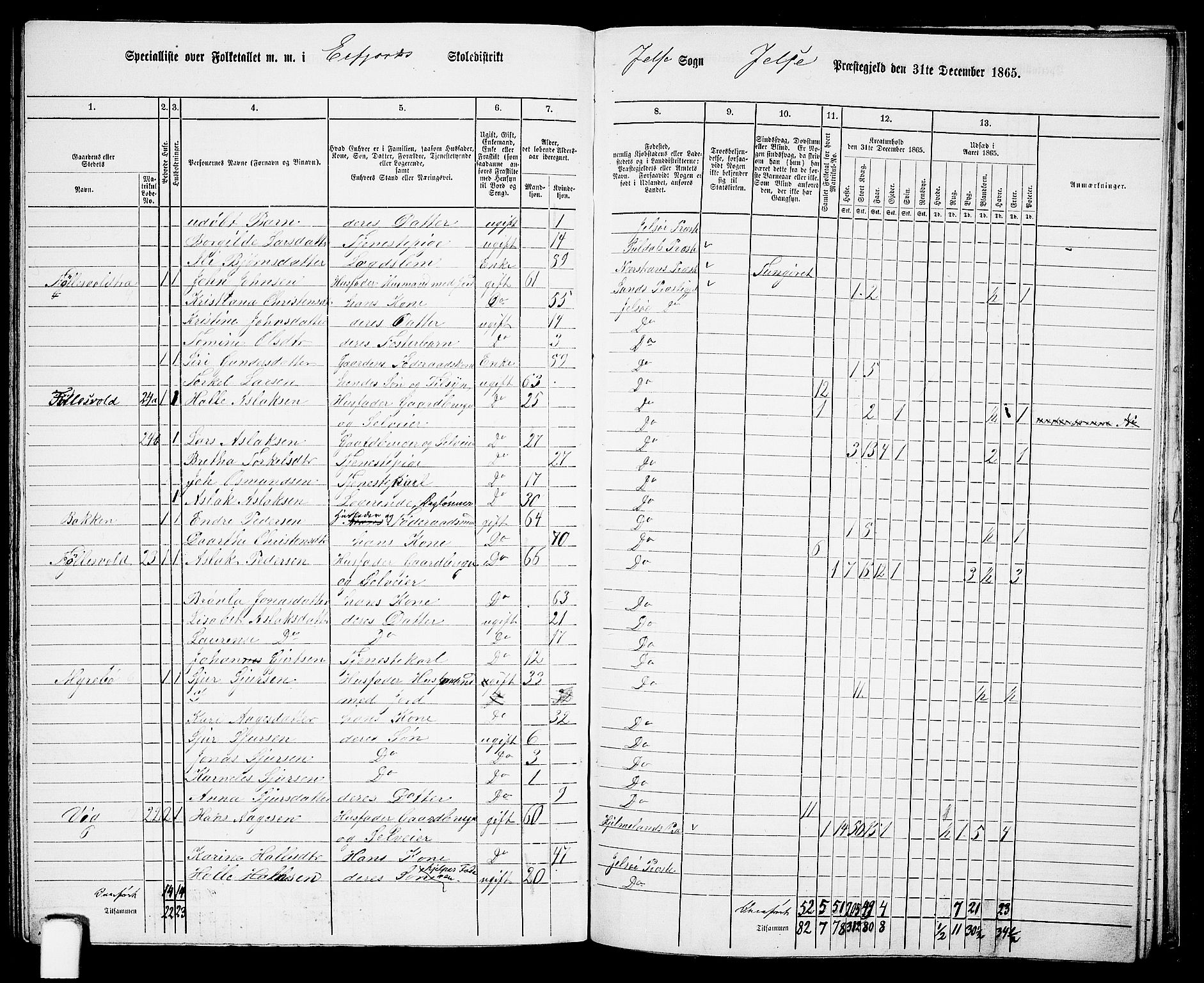 RA, 1865 census for Jelsa, 1865, p. 99