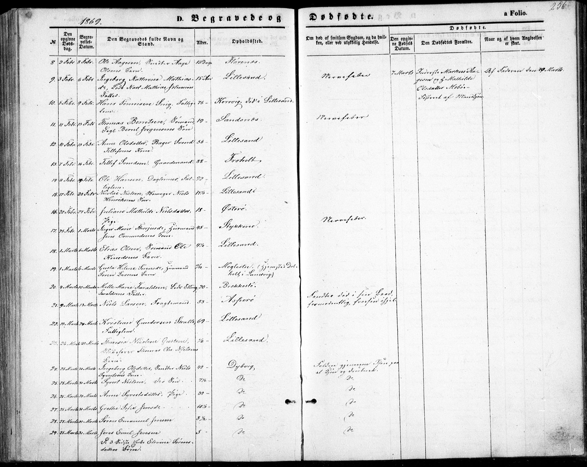 Vestre Moland sokneprestkontor, AV/SAK-1111-0046/F/Fb/Fbb/L0004: Parish register (copy) no. B 4, 1861-1872, p. 256