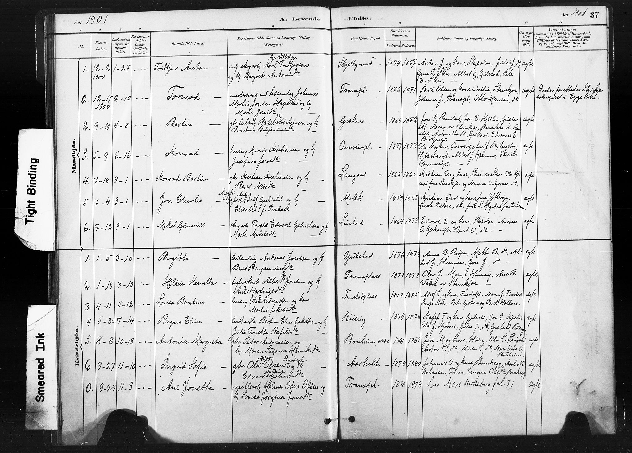 Ministerialprotokoller, klokkerbøker og fødselsregistre - Nord-Trøndelag, AV/SAT-A-1458/736/L0361: Parish register (official) no. 736A01, 1884-1906, p. 37