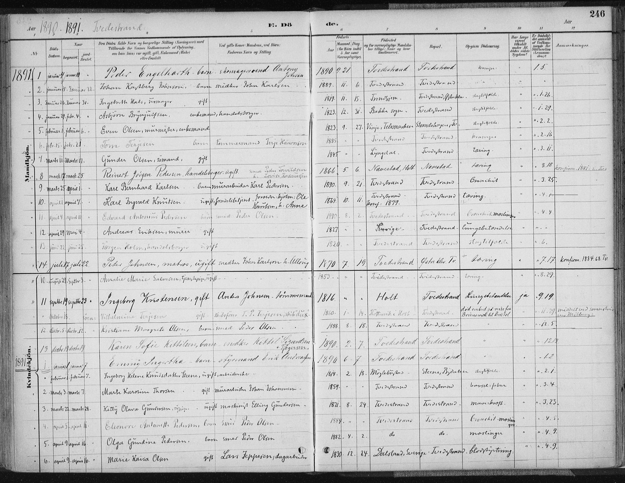 Tvedestrand sokneprestkontor, AV/SAK-1111-0042/F/Fa/L0001: Parish register (official) no. A 1, 1885-1916, p. 246