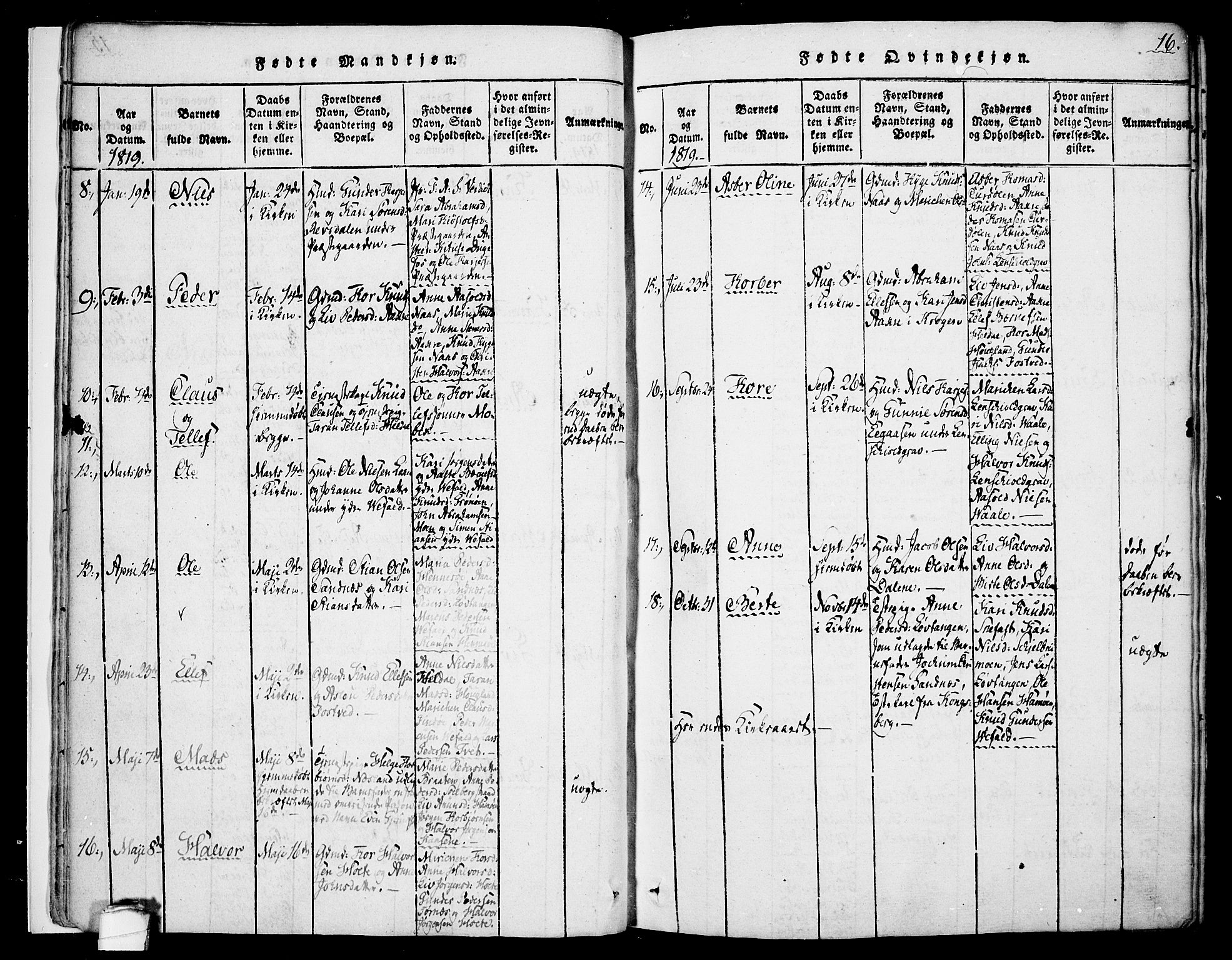 Drangedal kirkebøker, SAKO/A-258/F/Fa/L0005: Parish register (official) no. 5 /1, 1814-1831, p. 16