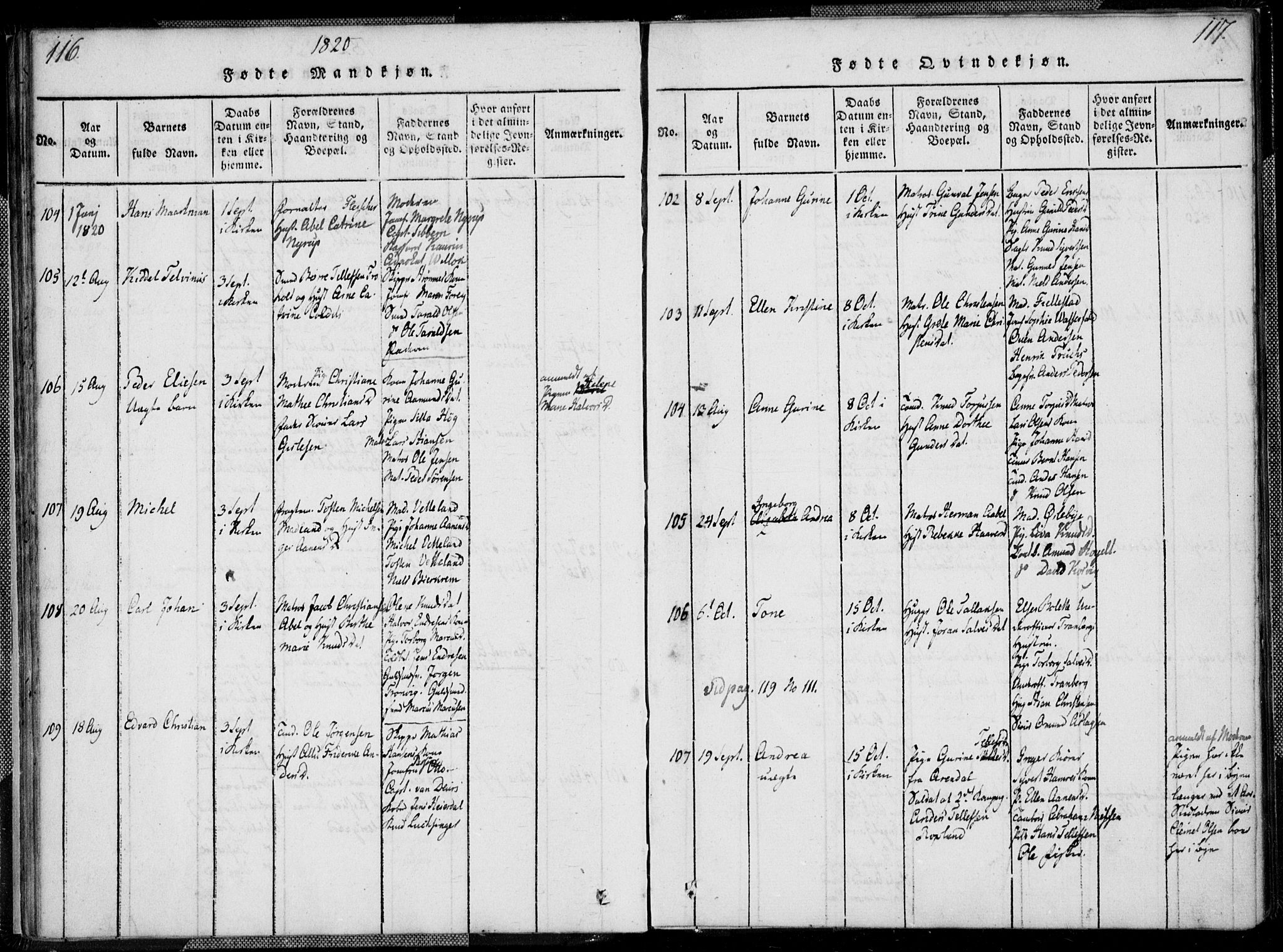 Kristiansand domprosti, SAK/1112-0006/F/Fa/L0008: Parish register (official) no. A 8, 1818-1821, p. 116-117