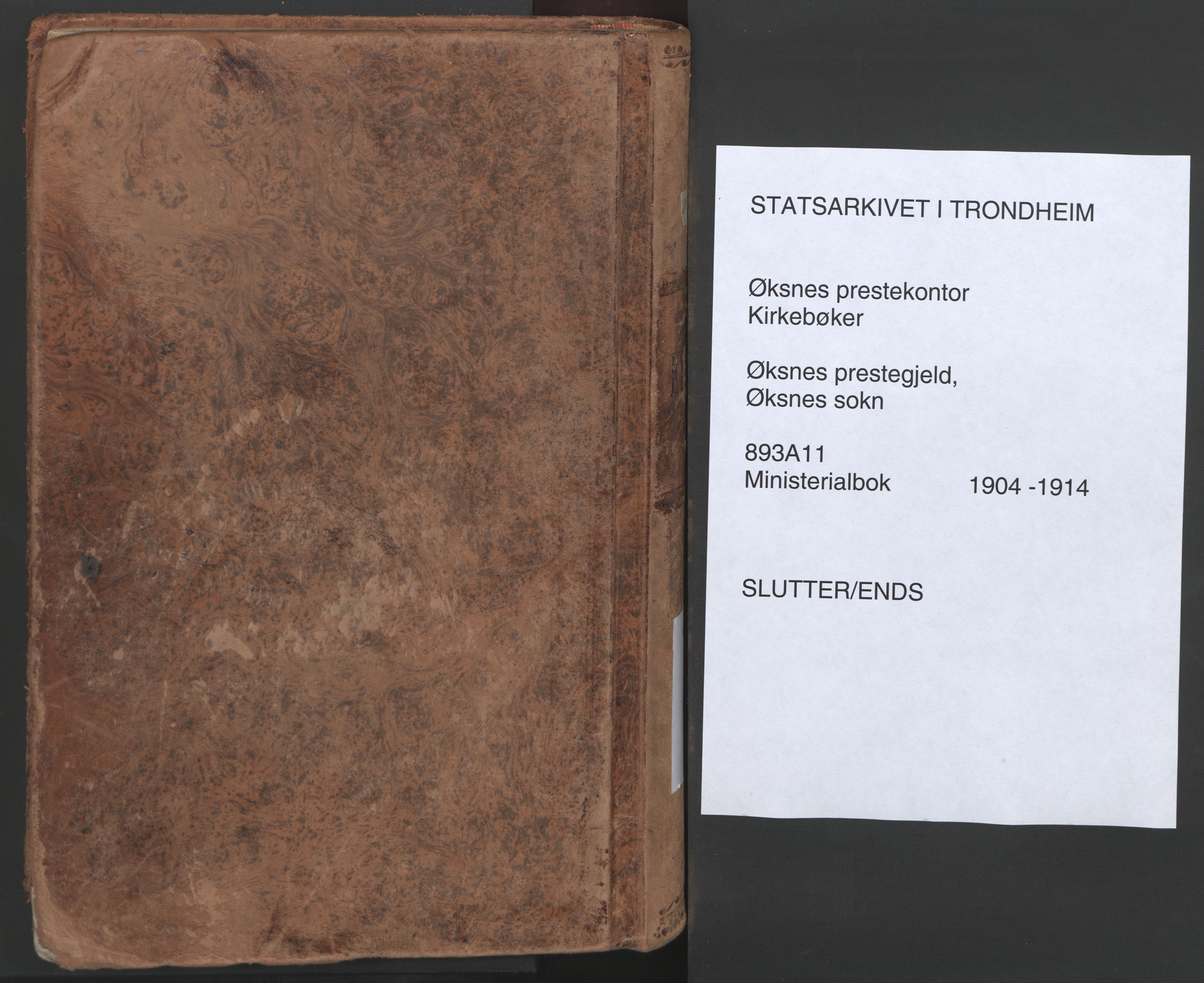 Ministerialprotokoller, klokkerbøker og fødselsregistre - Nordland, SAT/A-1459/893/L1339: Parish register (official) no. 893A11, 1904-1914