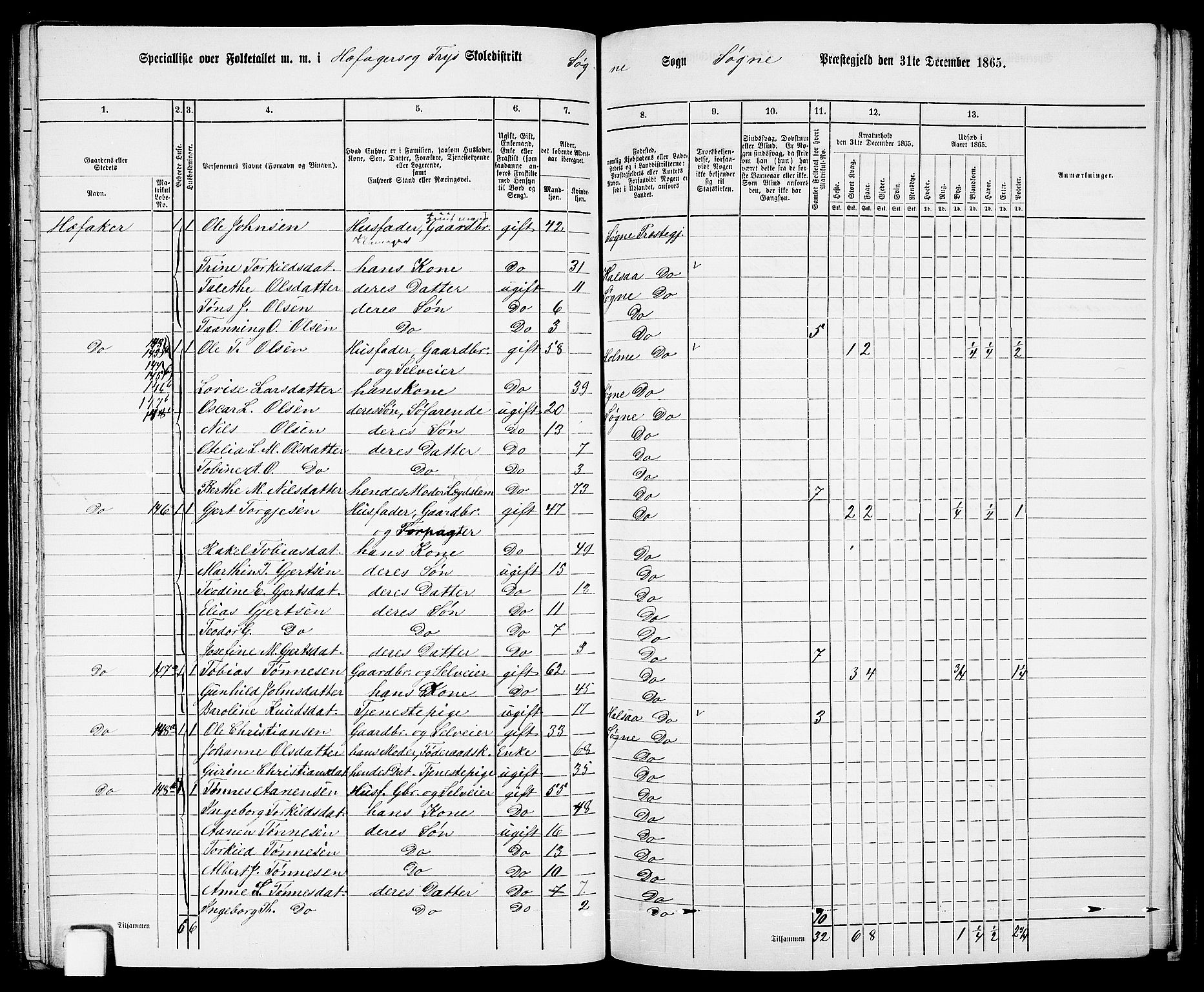 RA, 1865 census for Søgne, 1865, p. 100