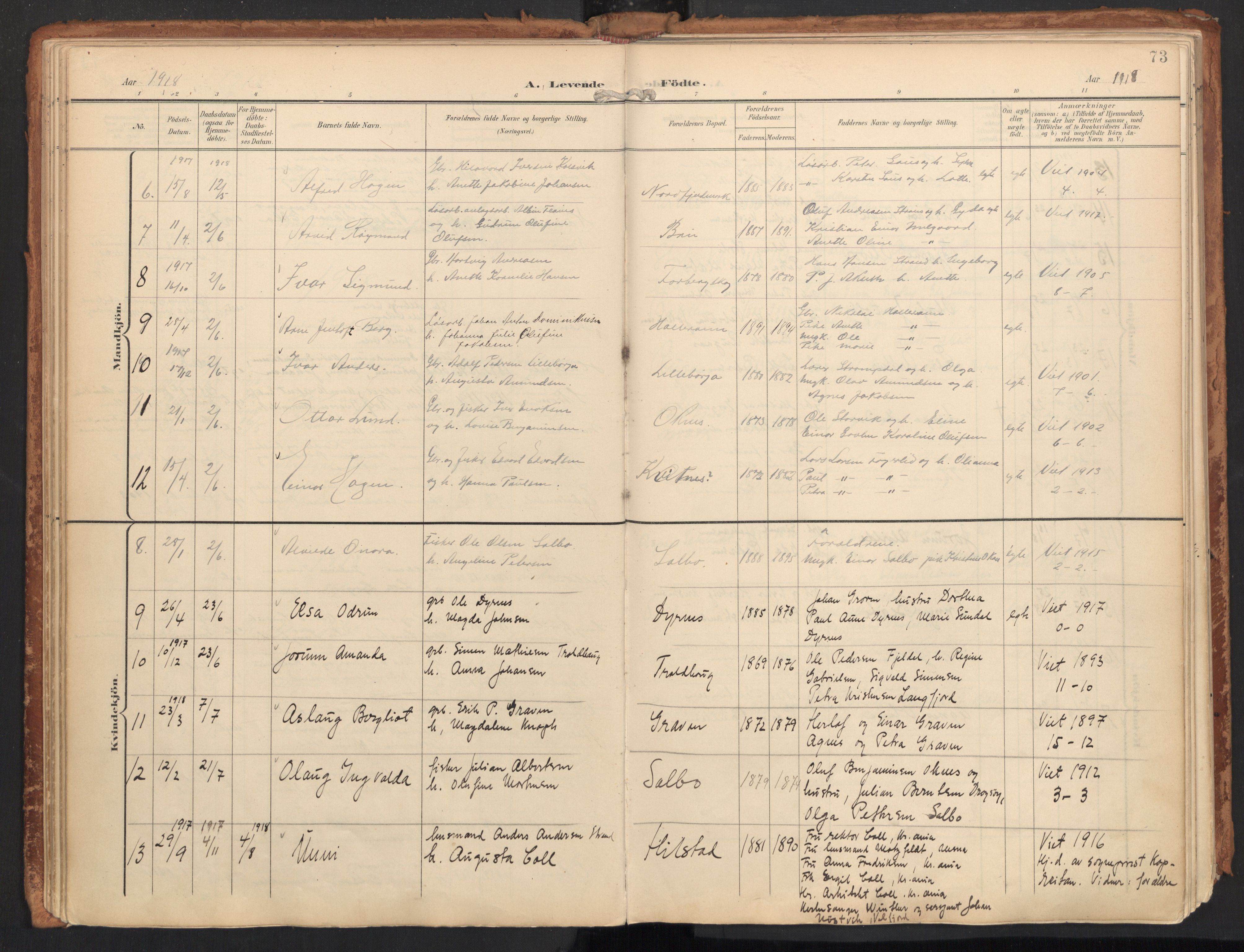 Ministerialprotokoller, klokkerbøker og fødselsregistre - Nordland, SAT/A-1459/814/L0227: Parish register (official) no. 814A08, 1899-1920, p. 73