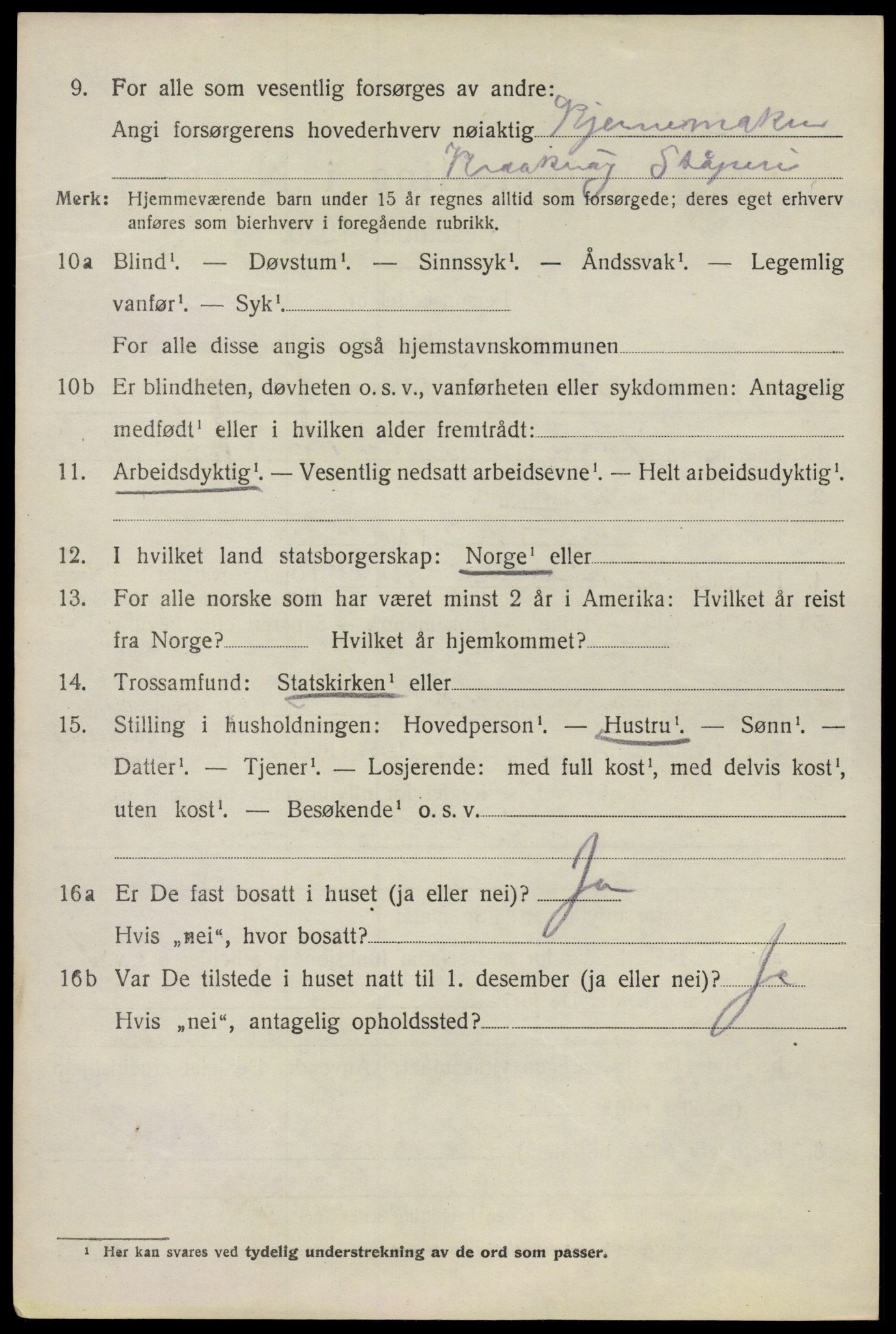 SAO, 1920 census for Kråkerøy, 1920, p. 4325