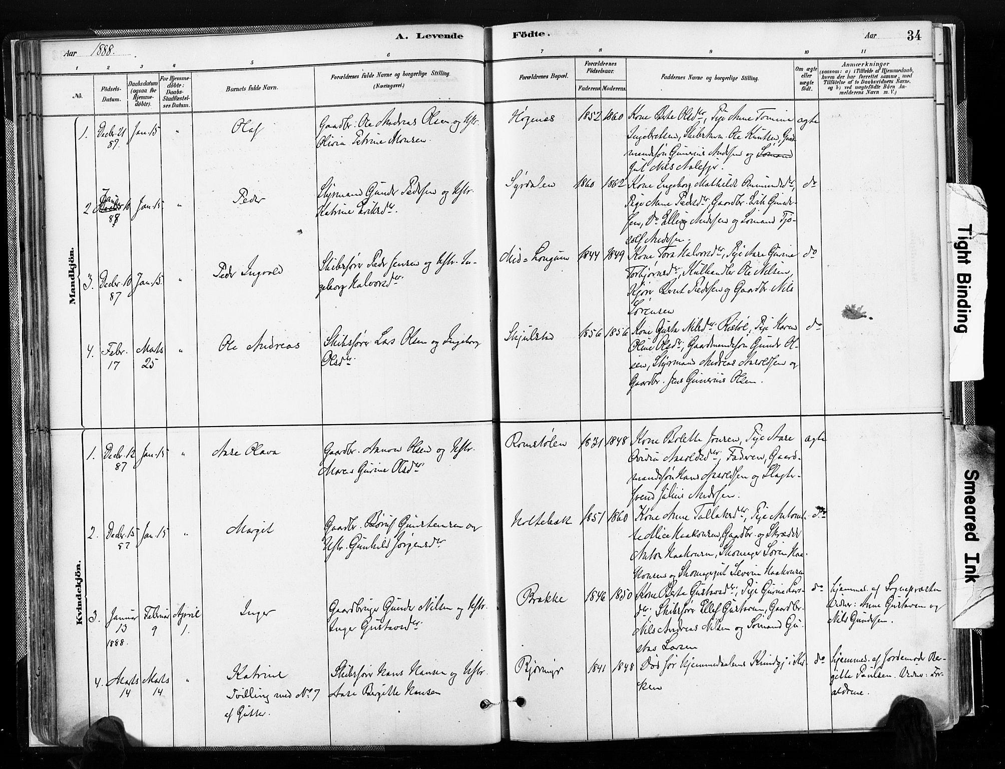 Austre Moland sokneprestkontor, SAK/1111-0001/F/Fa/Faa/L0010: Parish register (official) no. A 10, 1880-1904, p. 34