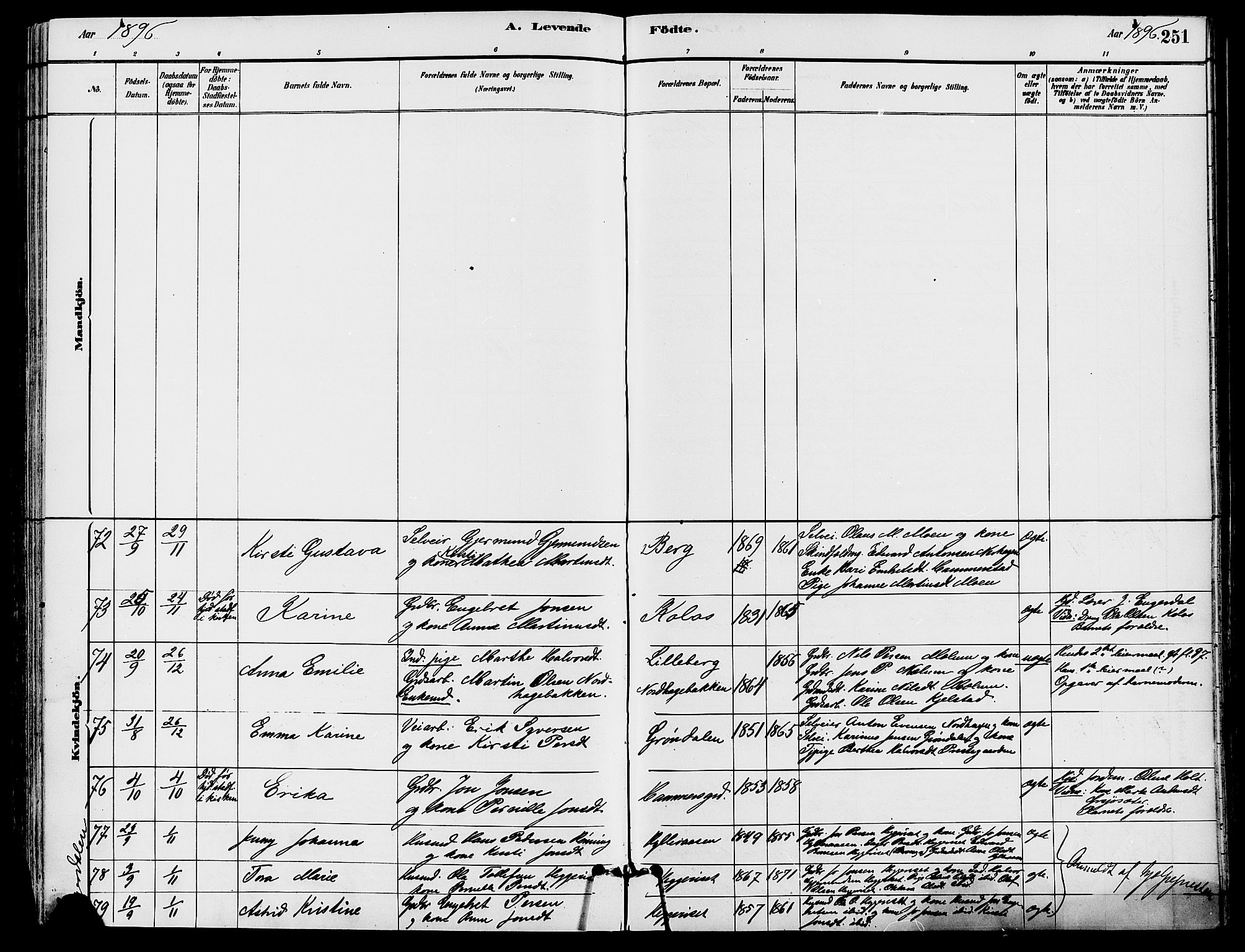 Trysil prestekontor, SAH/PREST-046/H/Ha/Haa/L0008: Parish register (official) no. 8, 1881-1897, p. 251