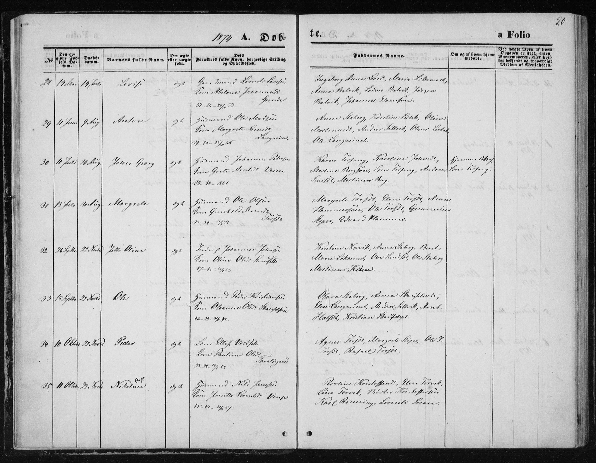 Ministerialprotokoller, klokkerbøker og fødselsregistre - Nord-Trøndelag, AV/SAT-A-1458/733/L0324: Parish register (official) no. 733A03, 1870-1883, p. 20