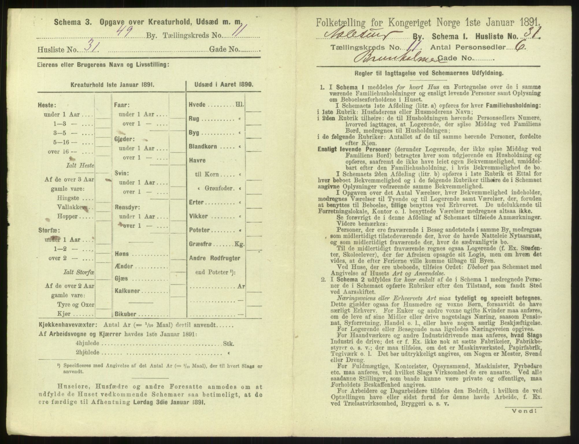 RA, 1891 census for 1501 Ålesund, 1891, p. 858