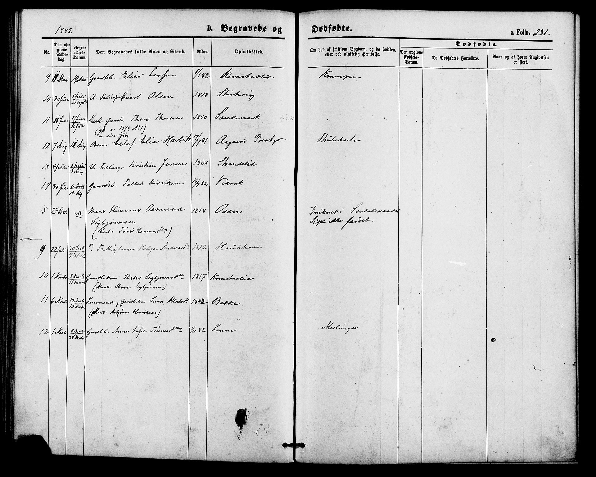 Bakke sokneprestkontor, AV/SAK-1111-0002/F/Fa/Faa/L0007: Parish register (official) no. A 7, 1877-1886, p. 231