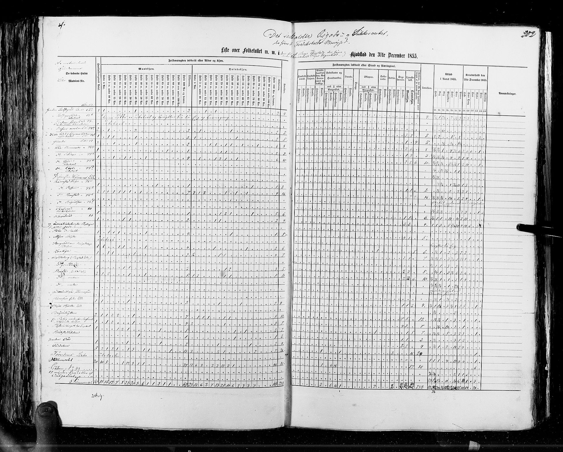 RA, Census 1855, vol. 7: Fredrikshald-Kragerø, 1855, p. 202