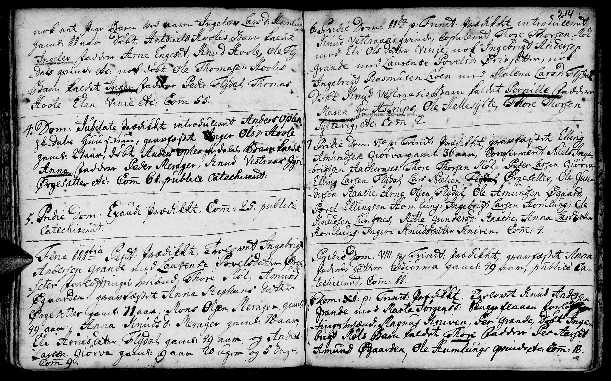 Ministerialprotokoller, klokkerbøker og fødselsregistre - Møre og Romsdal, SAT/A-1454/519/L0242: Parish register (official) no. 519A01 /3, 1736-1761, p. 214